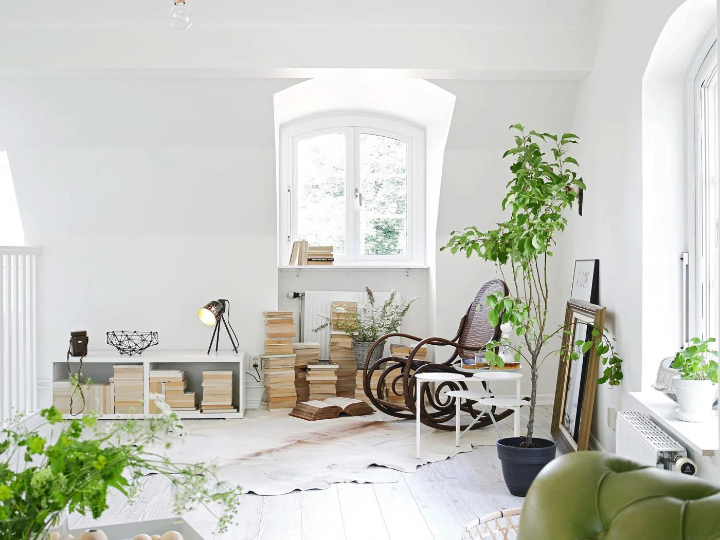 white-and-green-s.jpg
