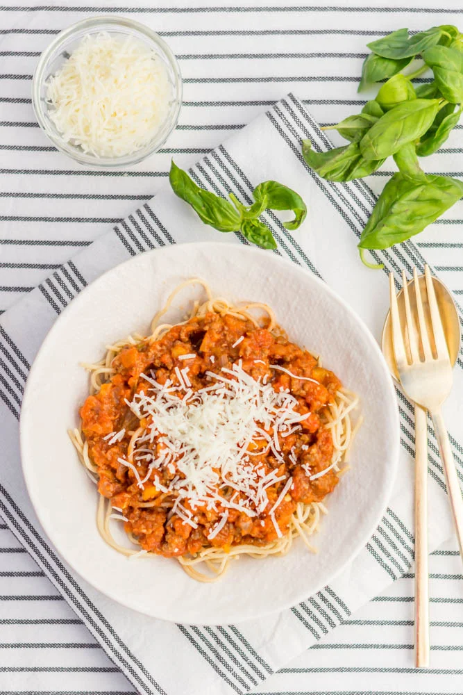 Spaghetti Sauce from Scratch (GF, DF, SF, CF)