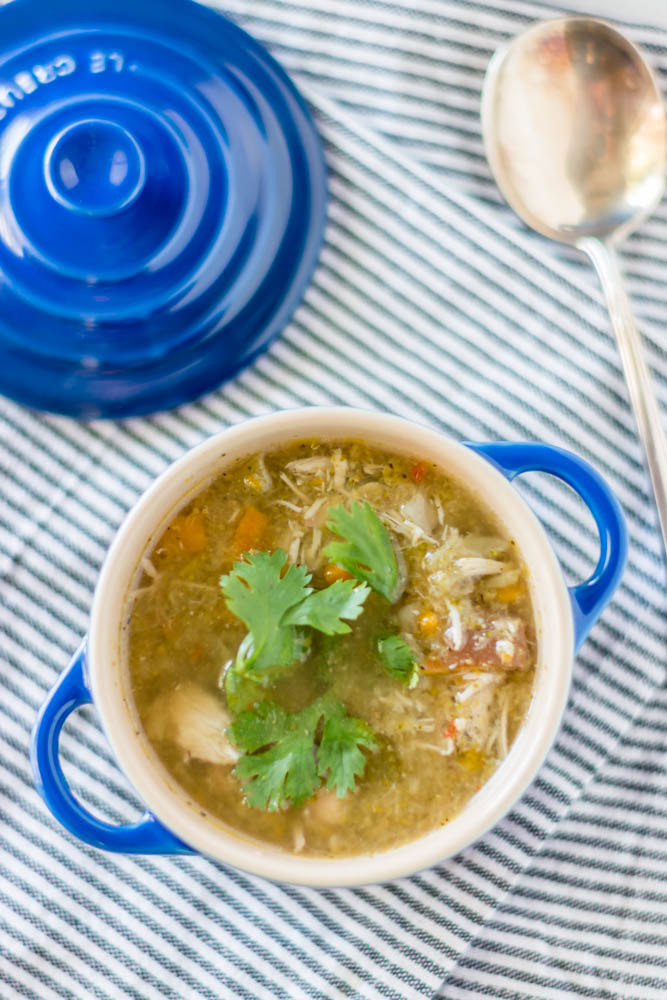 Slow Cooker Chicken and Vegetable Soup — Coreen Murphy