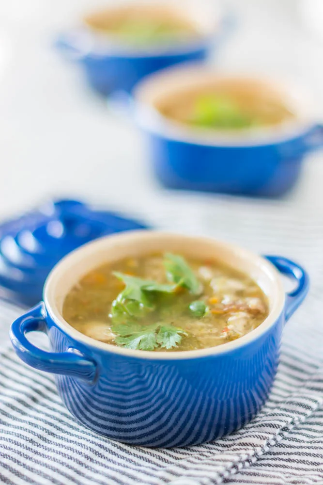 Slow Cooker Chicken and Vegetable Soup