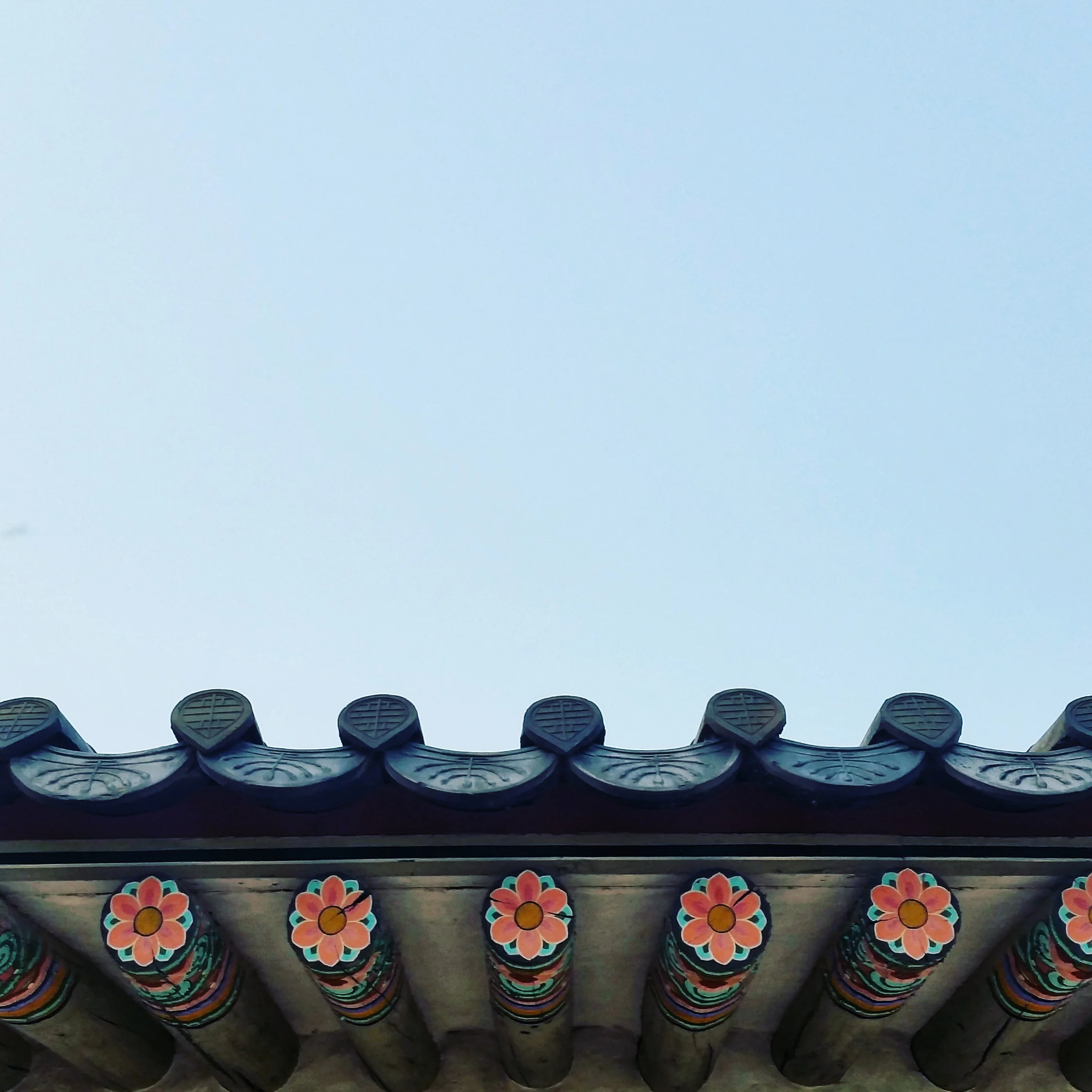 Jun_SarahIMG_20151030_090023.jpg