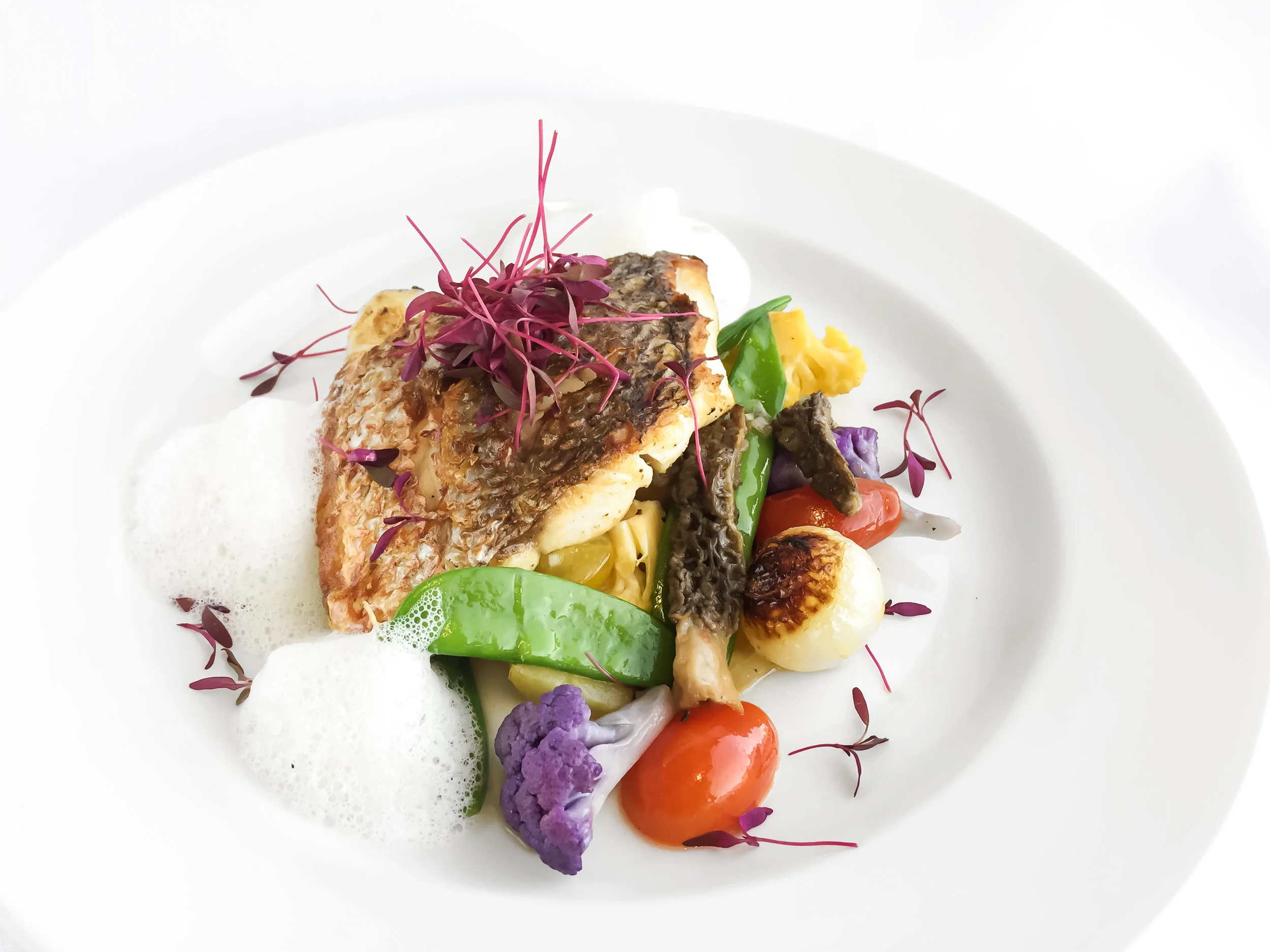Prime Pan Seared Red Snapper IMG_1618.jpg