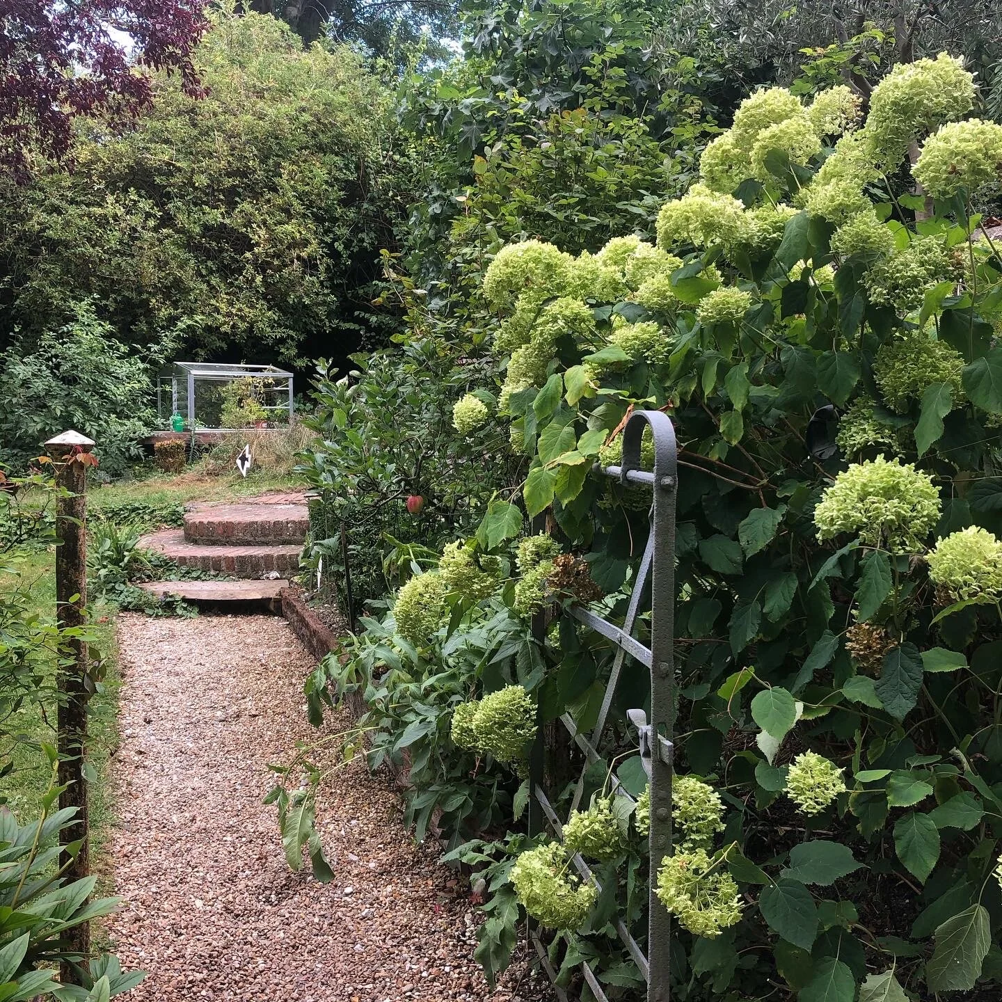 Path from studio-annabelle.JPG