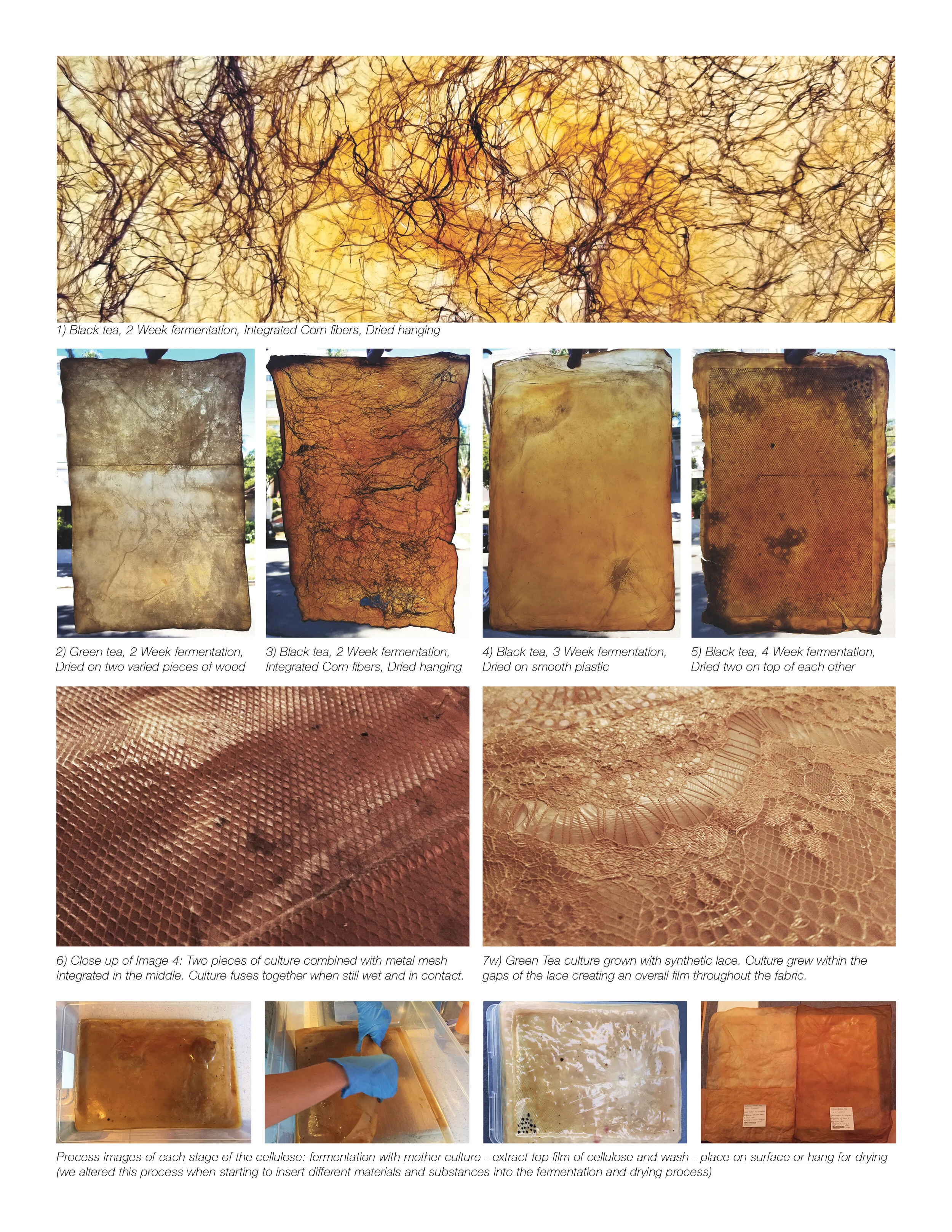 Pages for Website2.jpg