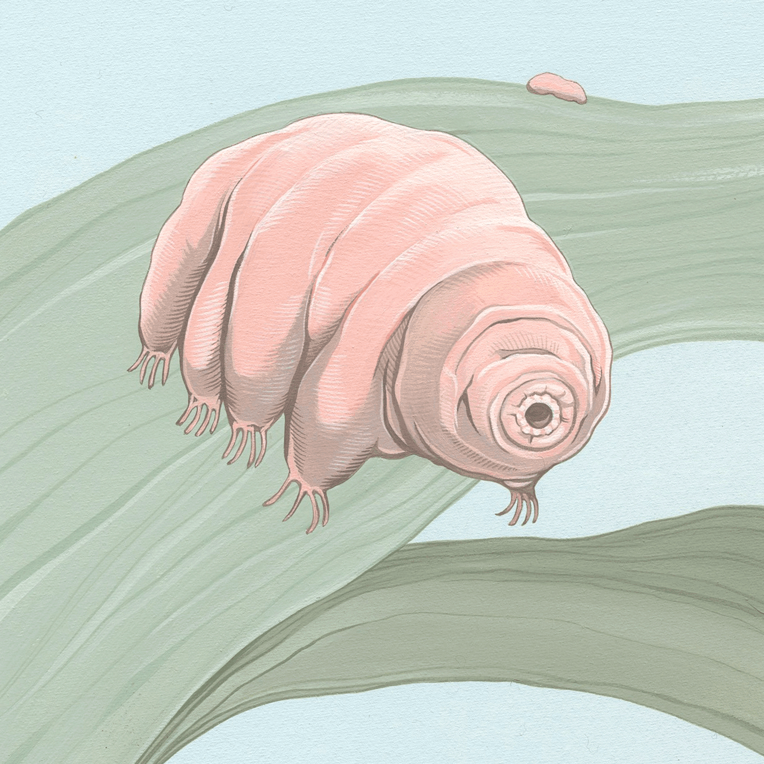 Illustration Illustration