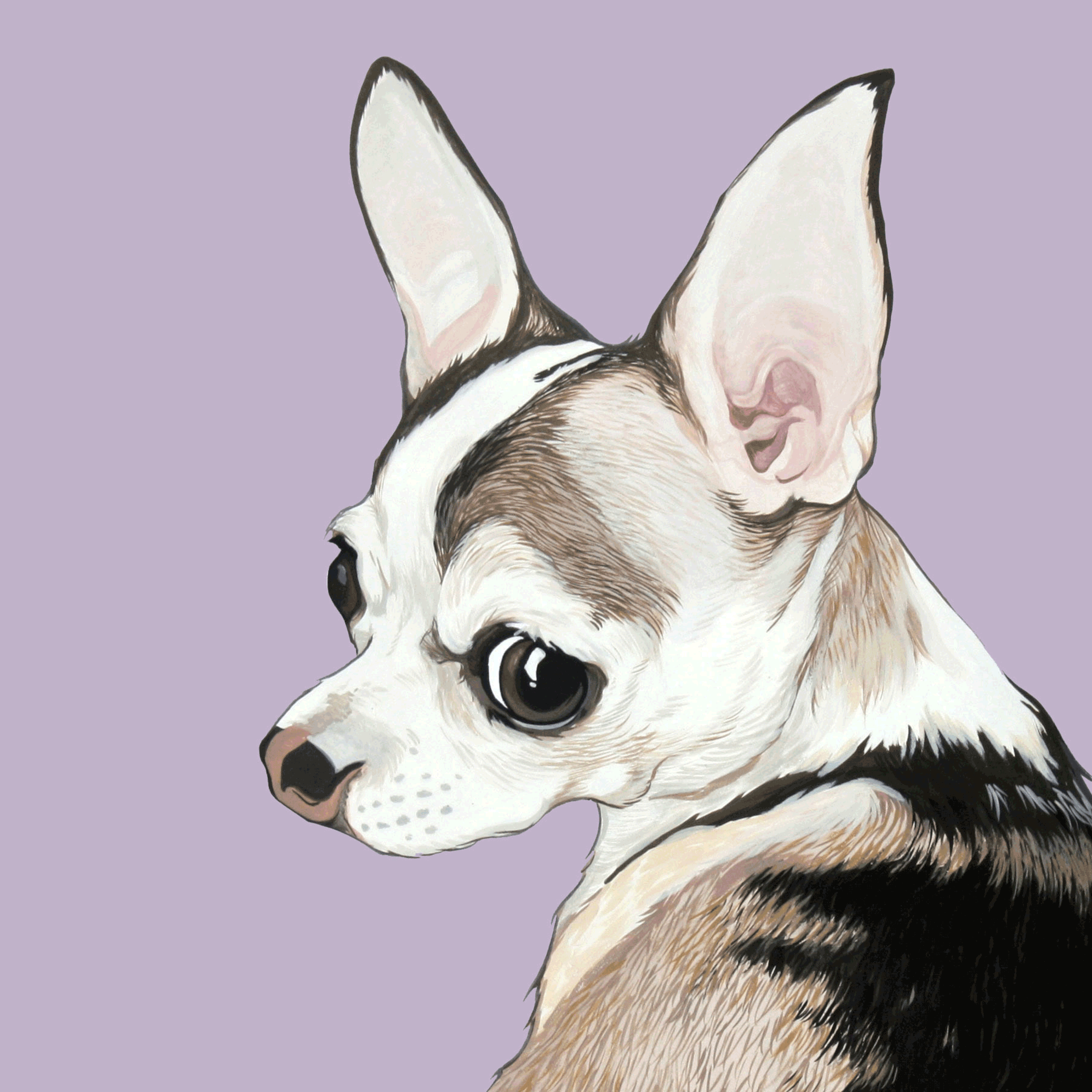 dogportrait1.gif