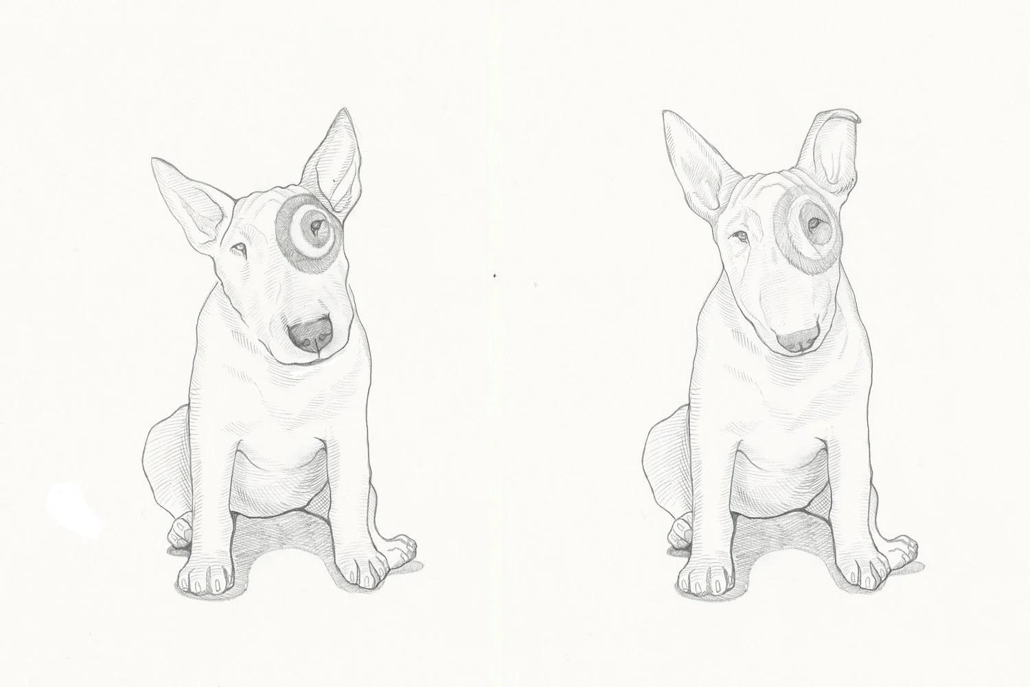 Expression studies: signature marking vs. bruise
