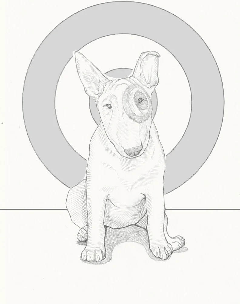 Pencil drawing of a bull terrier option