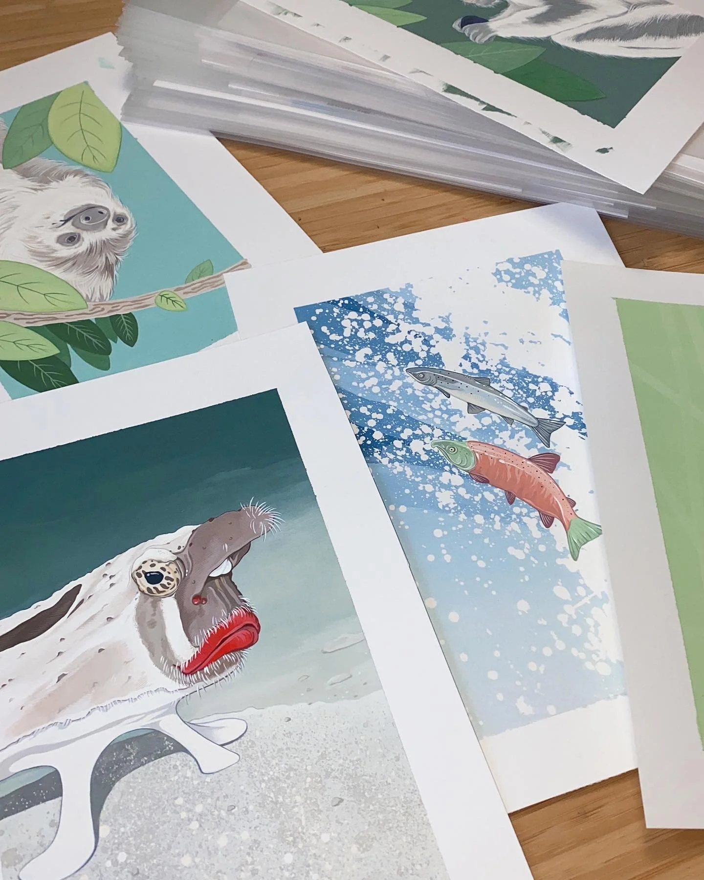 Original gouache paintings for Unusual Animal Messages spread on a wooden table, including a red-lipped batfish, two salmon and a sloth