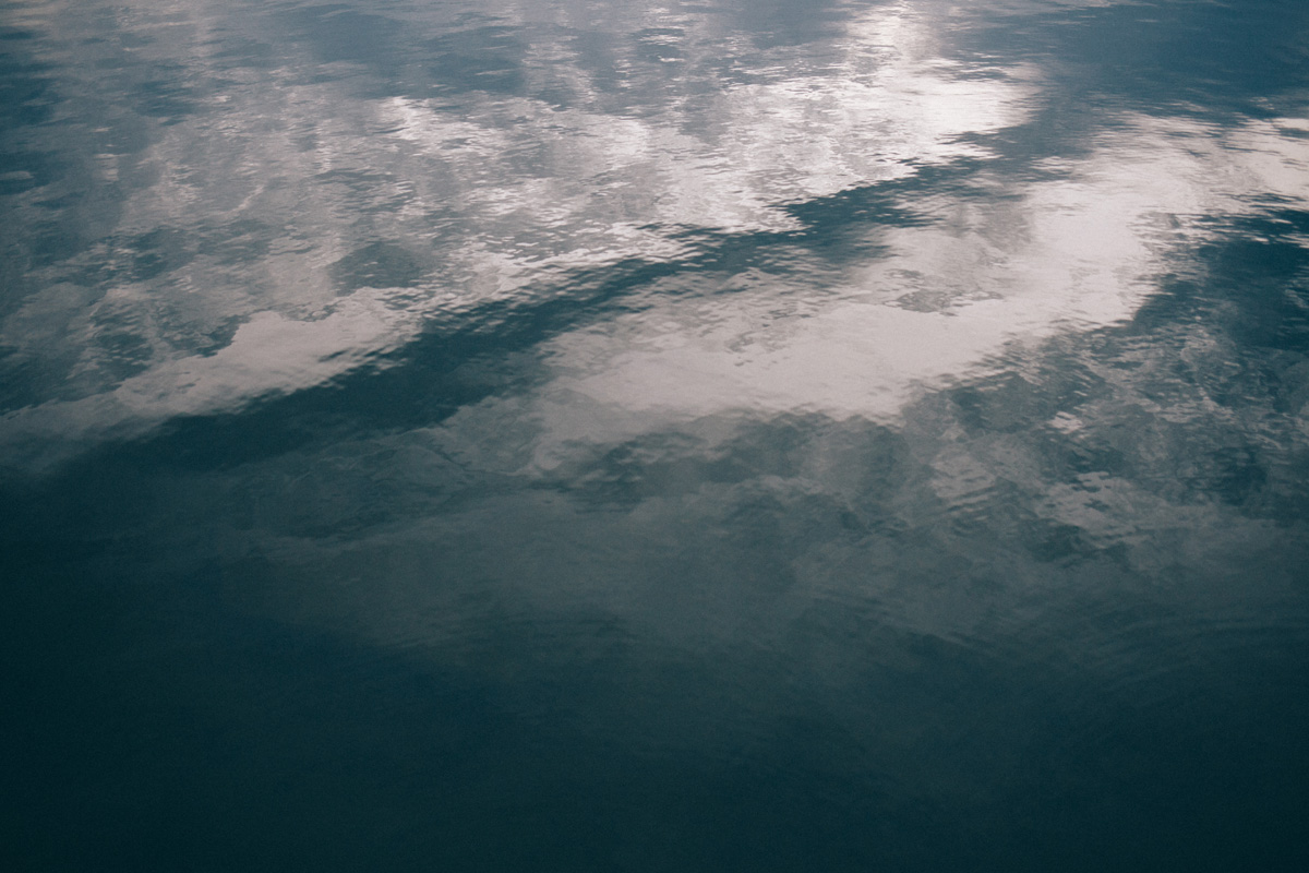 _MG_6553.jpg