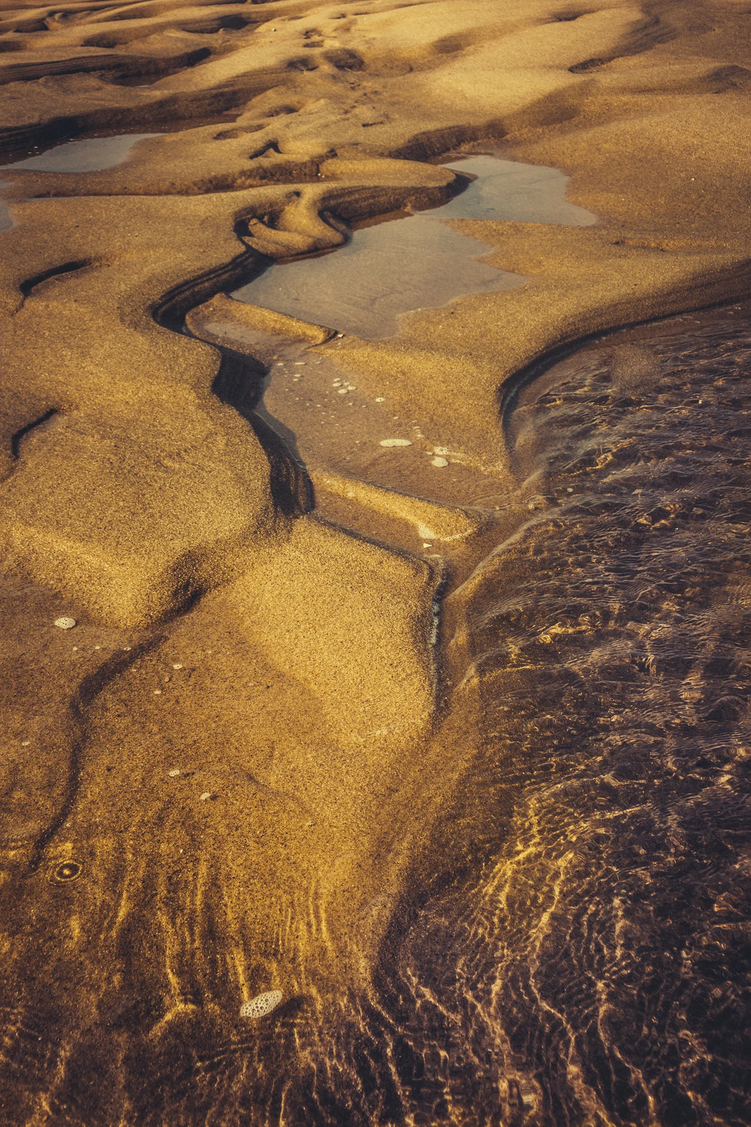 newport 004 lowres.jpg