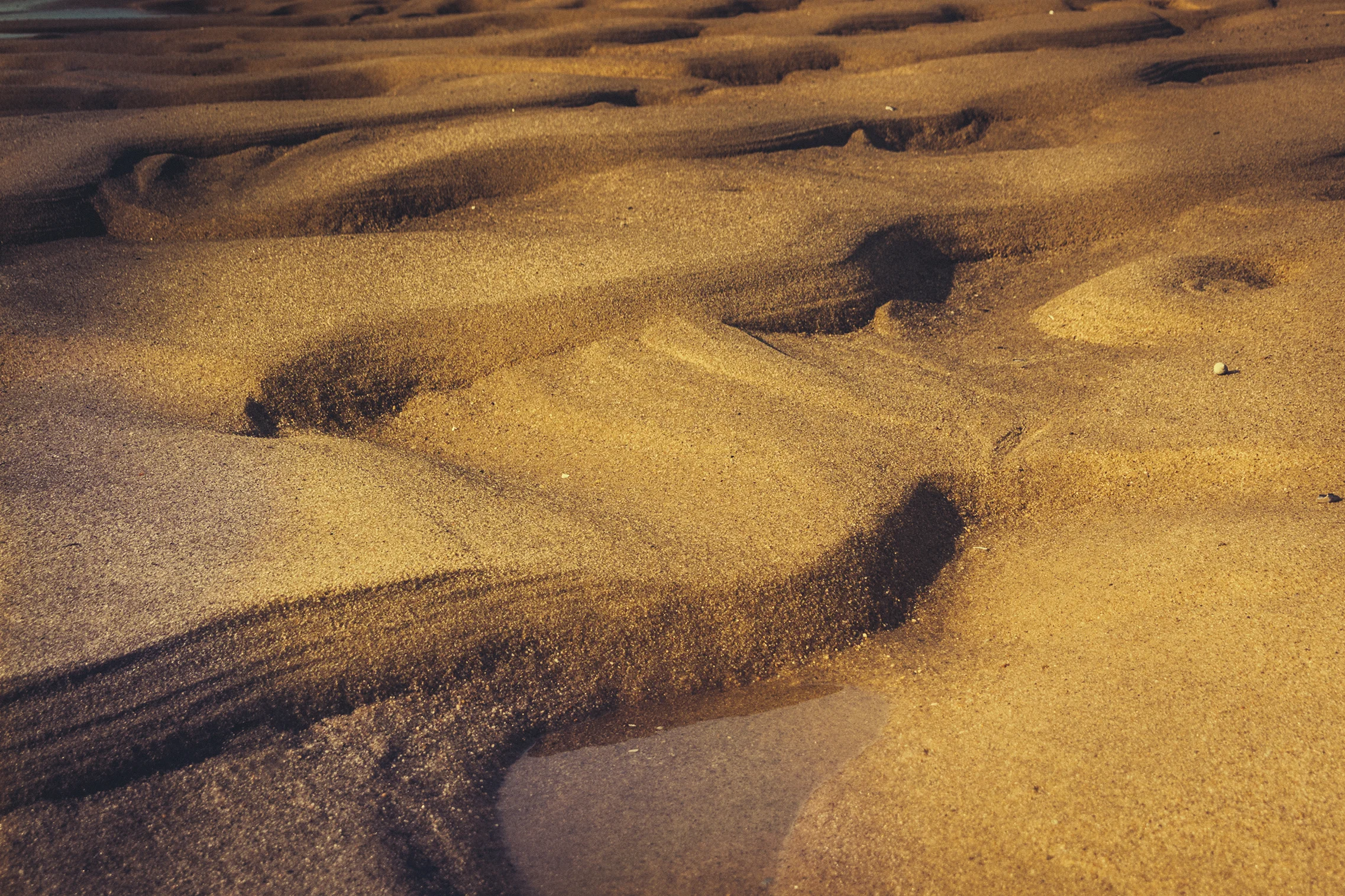 newport 006 lowres.jpg