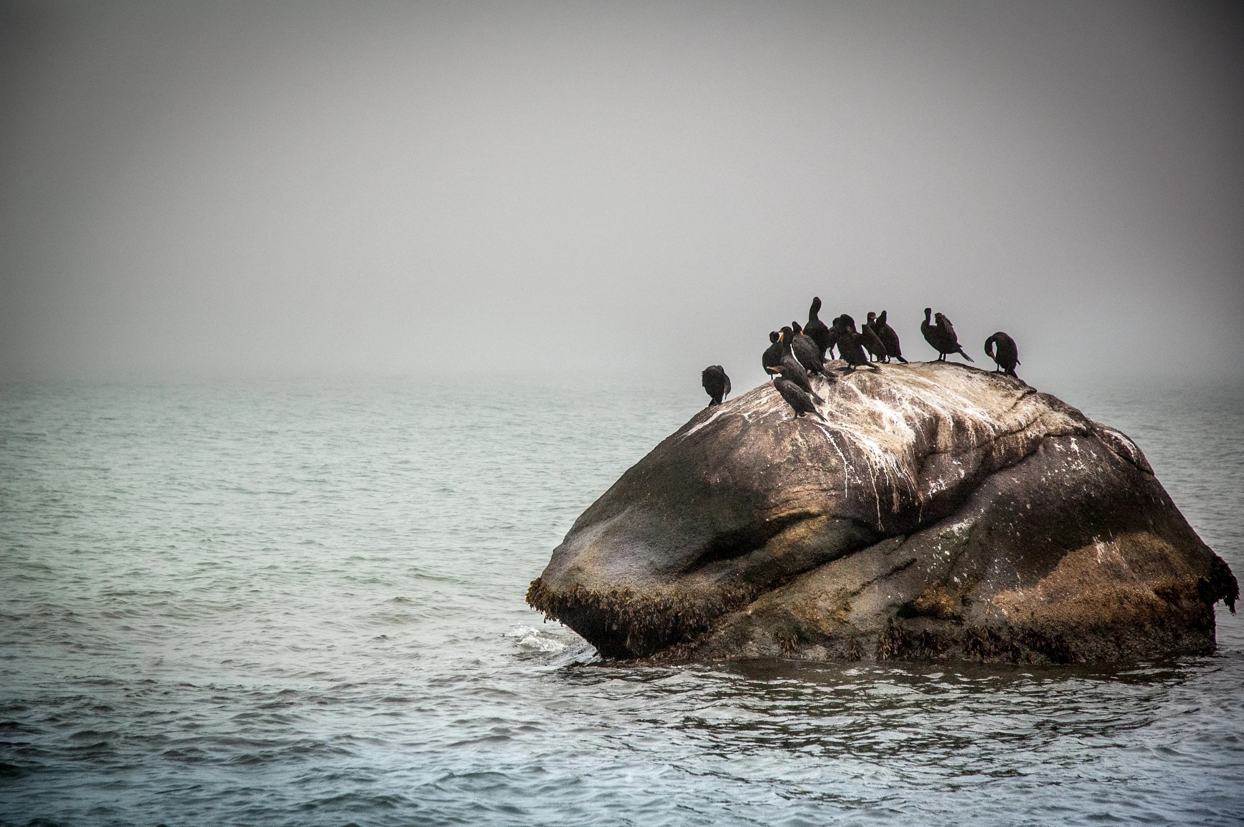 martha's vineyard 006.jpg