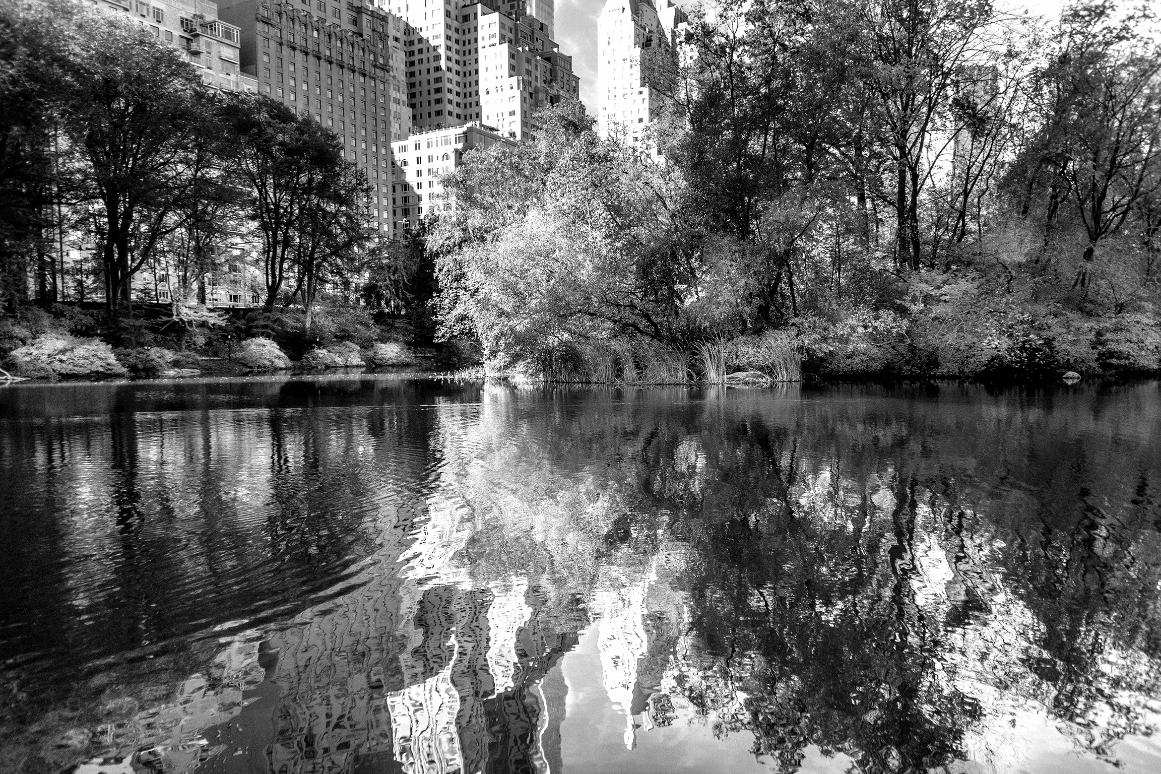 central park 003.jpg