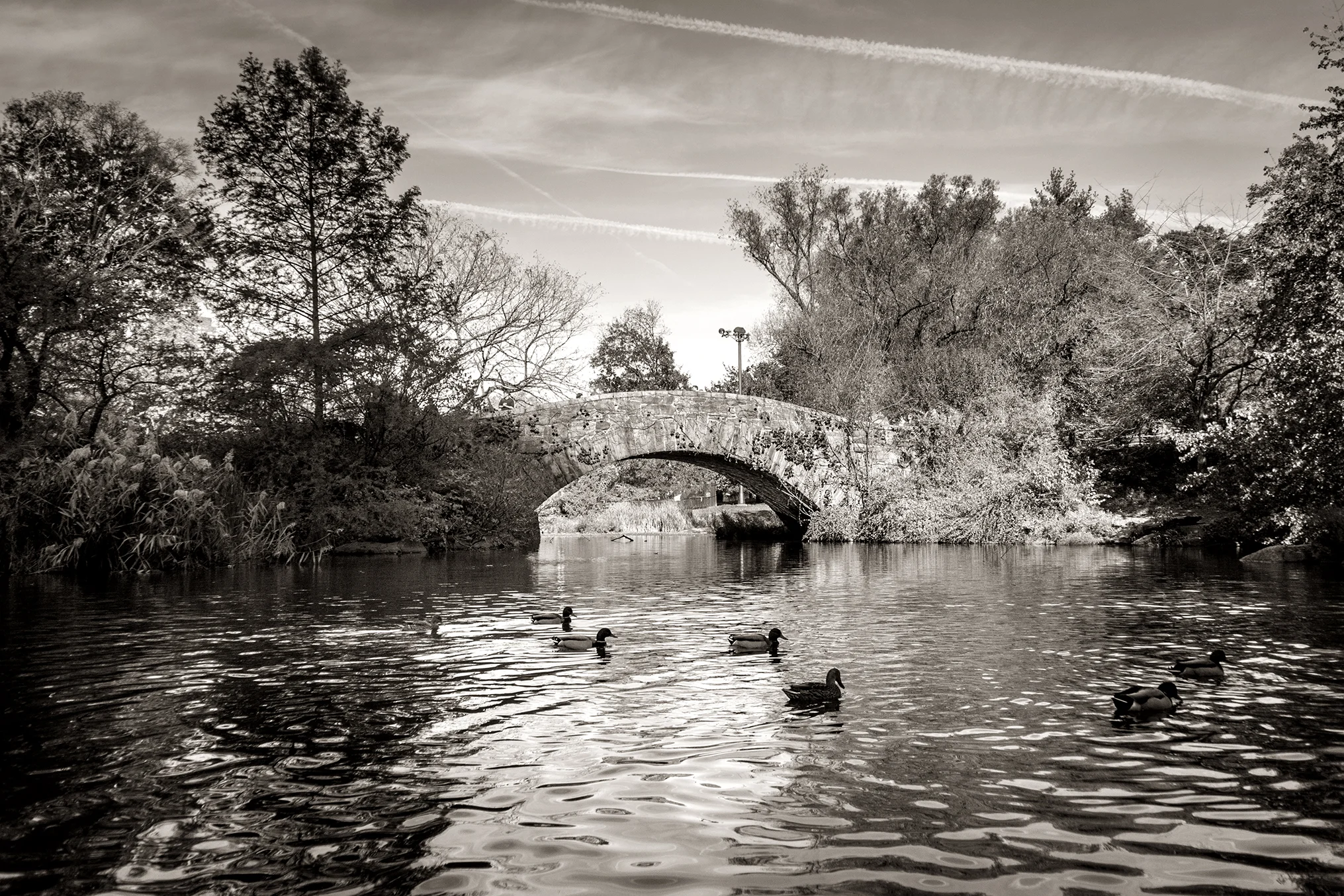 central park 005.jpg