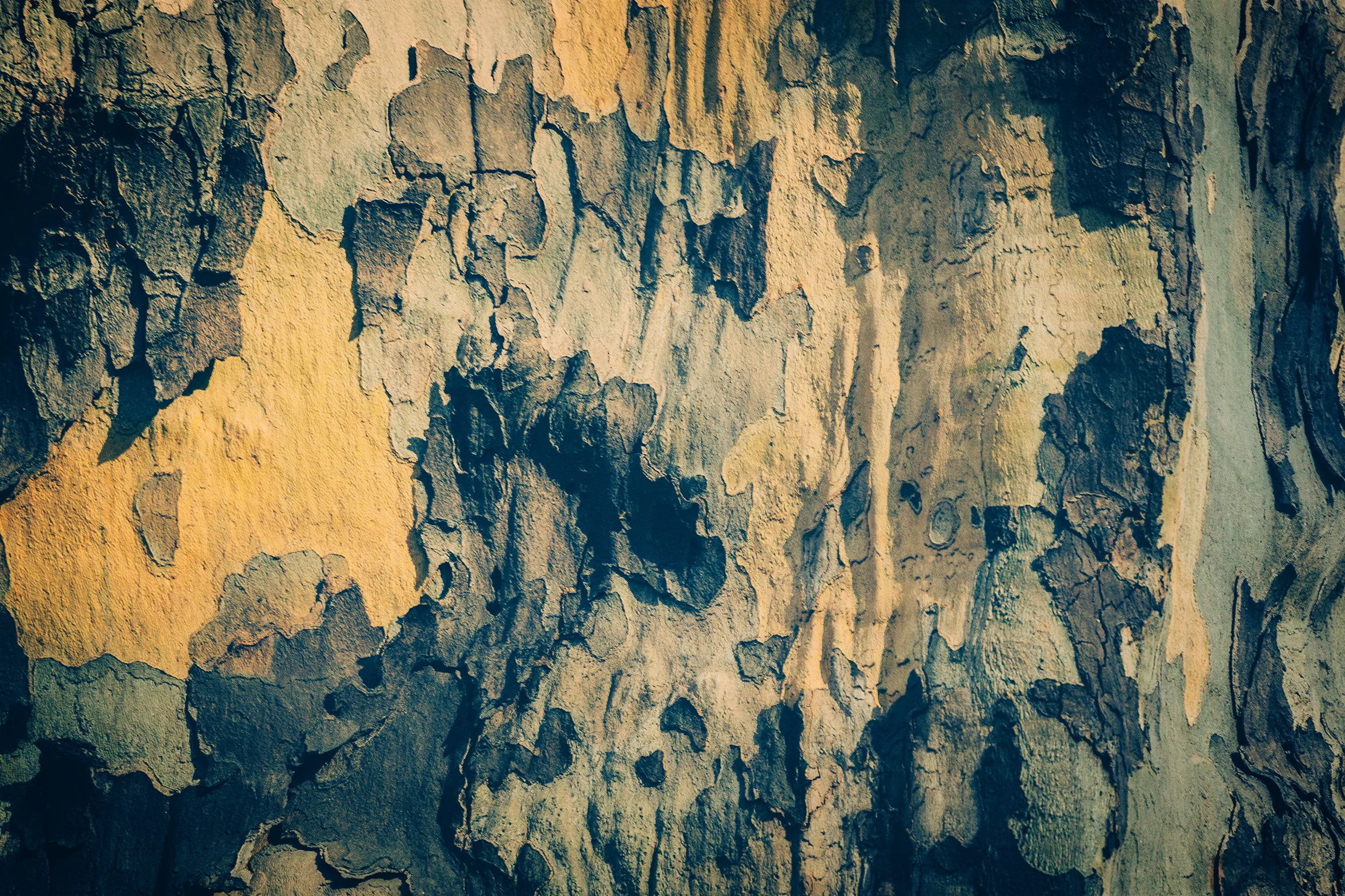 central park 008.jpg