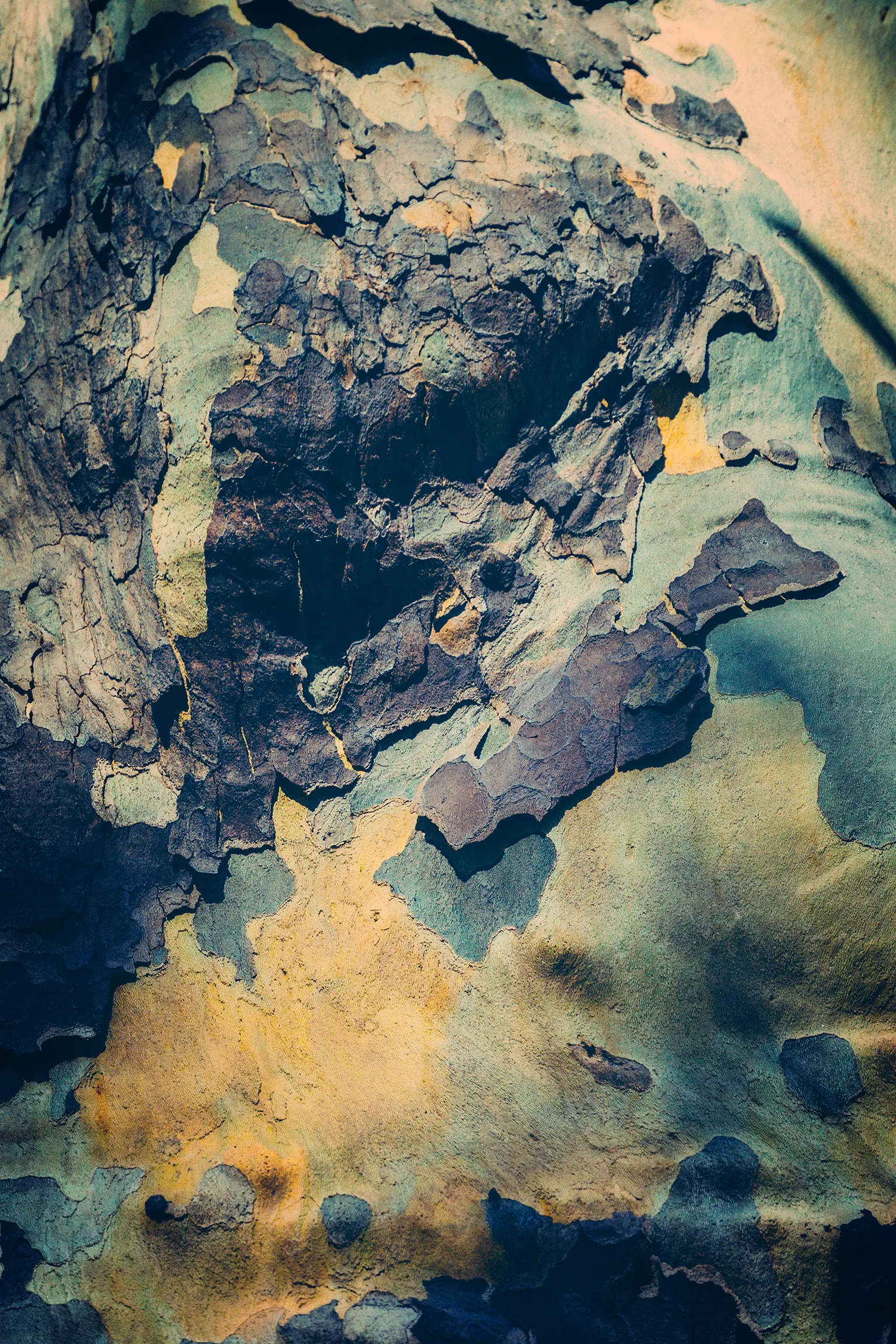 central park 009.jpg