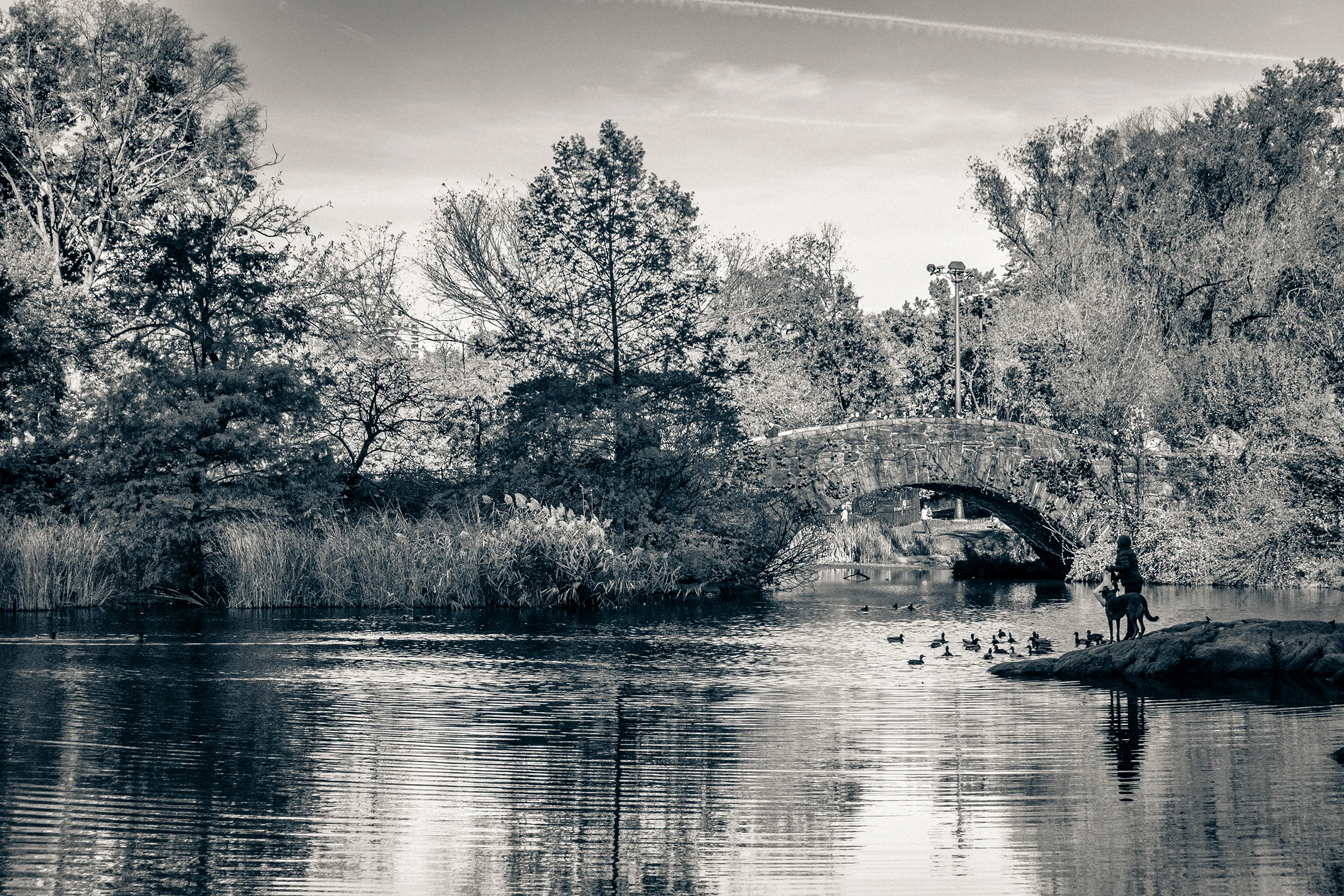 central park 021.jpg