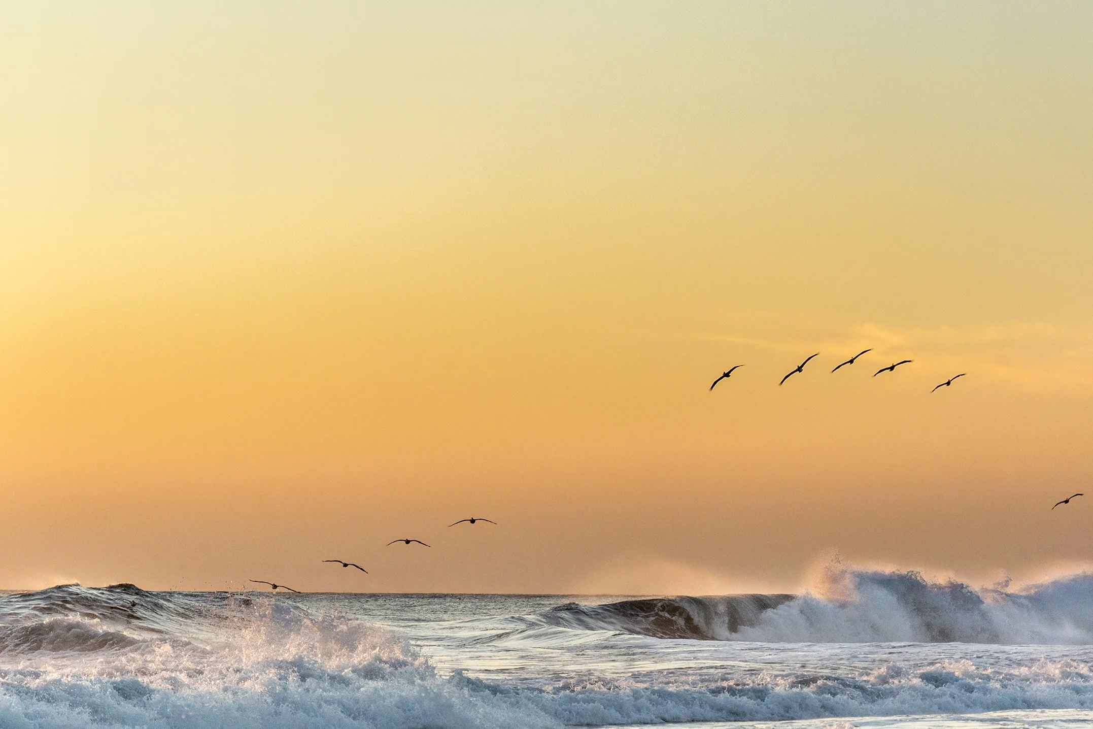 Monterrico ret 003 lowres.jpg