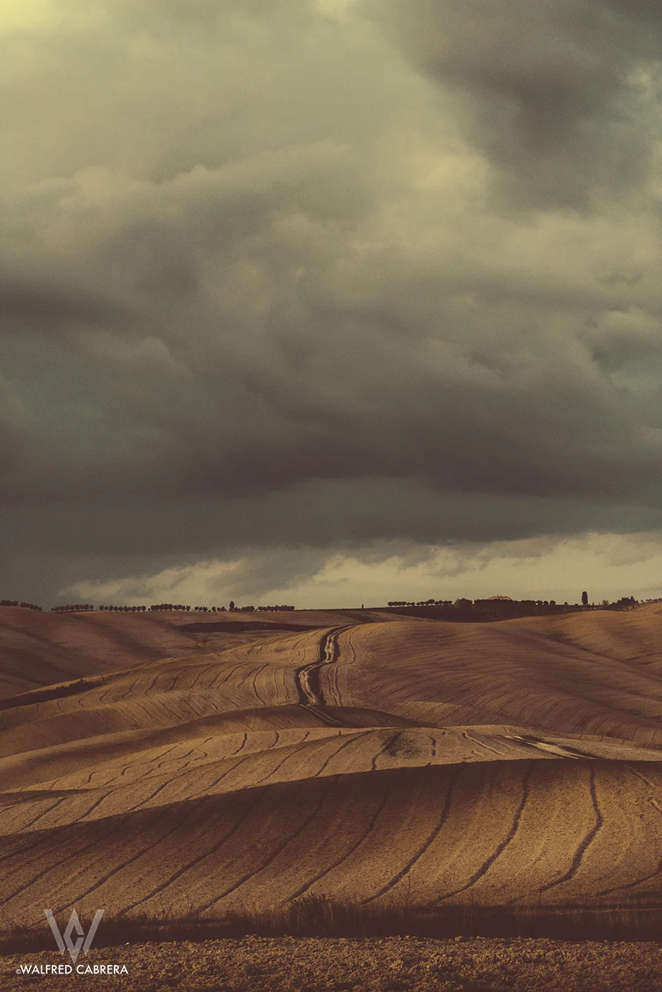 tuscan fade colors2.jpg