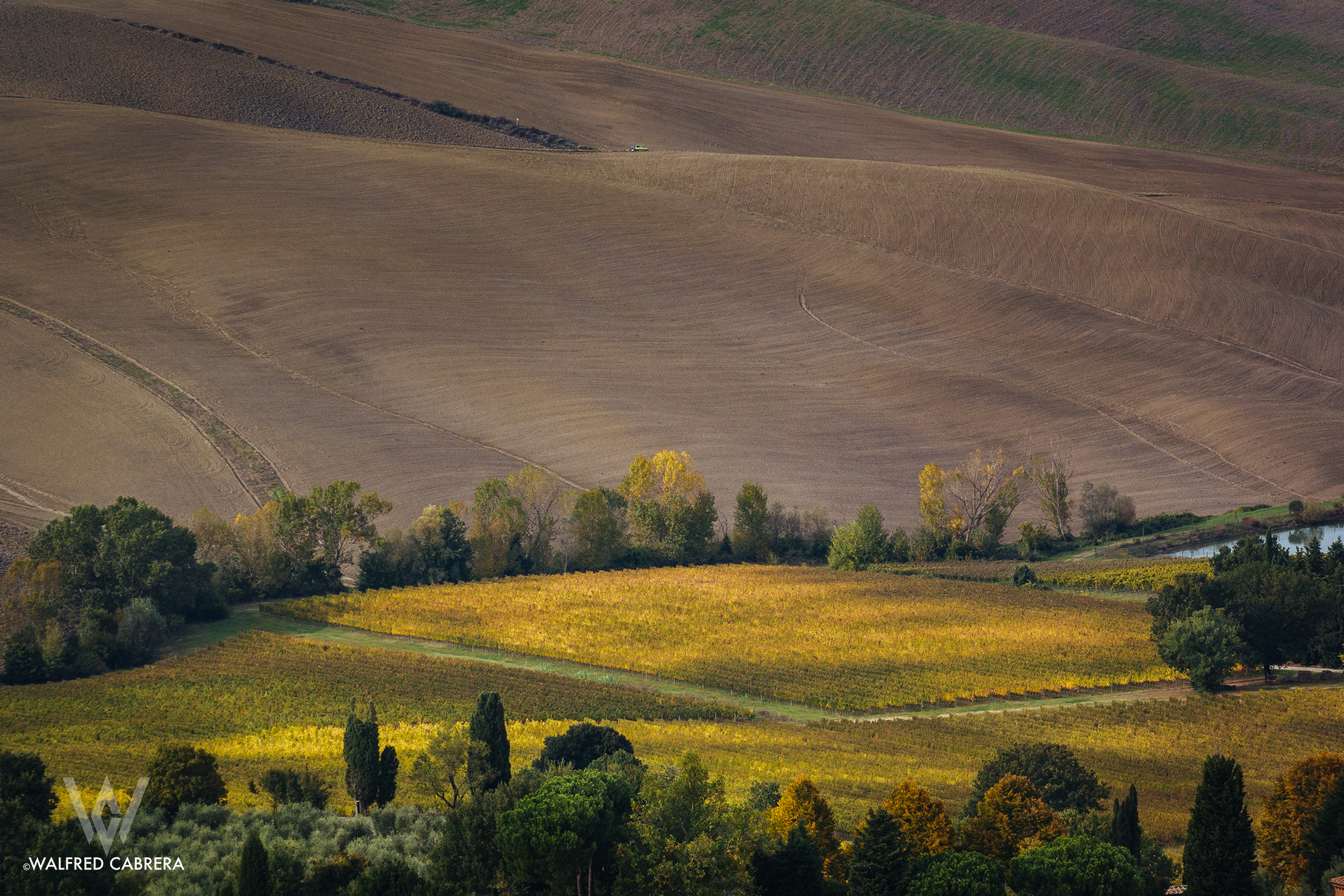 tuscany 2.jpg
