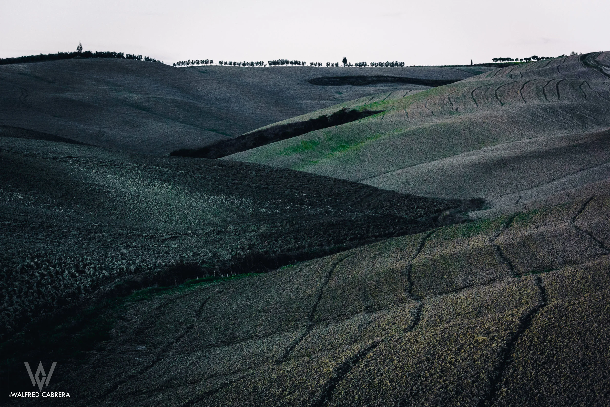 tuscany 9.jpg