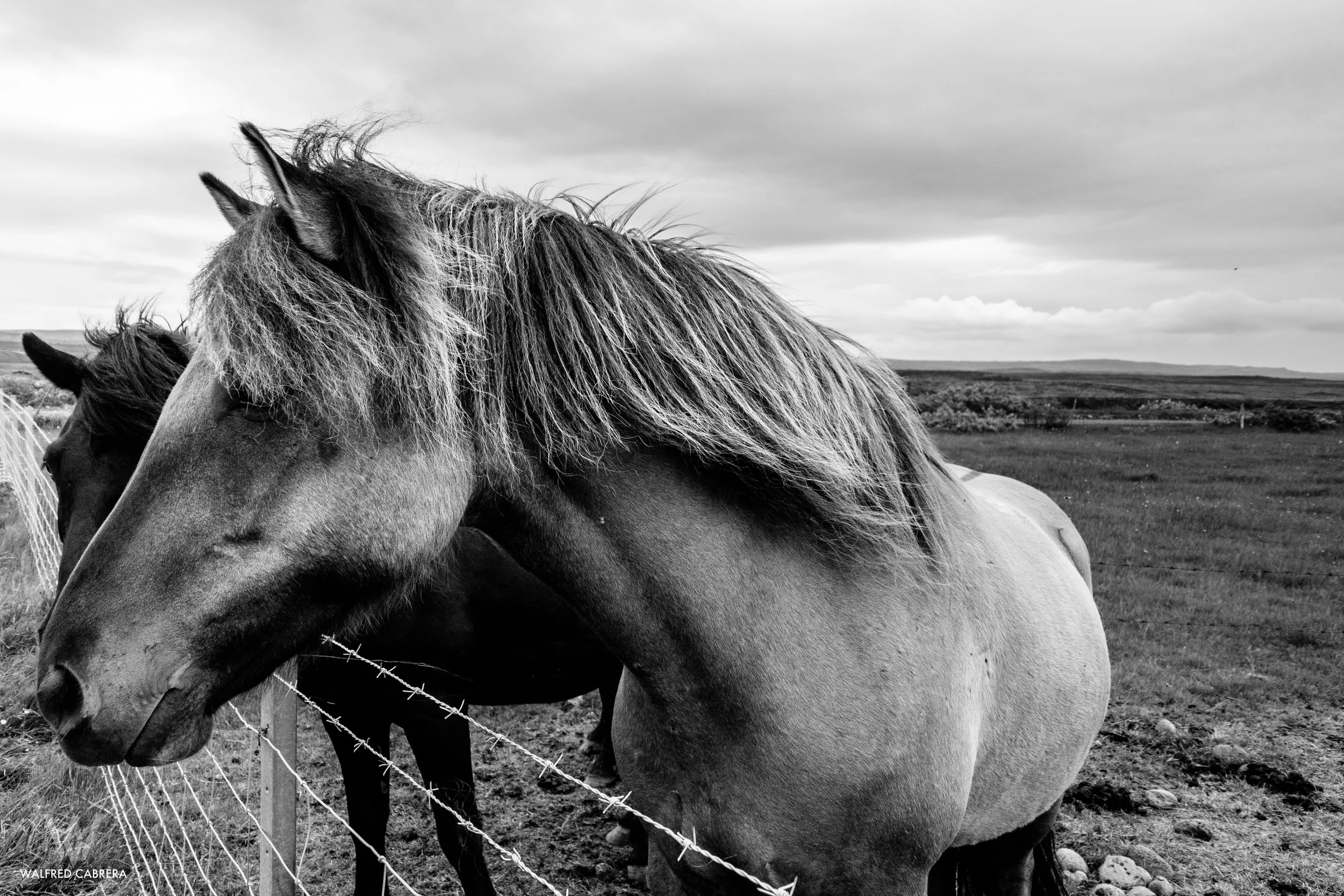 Iceland-28.jpg