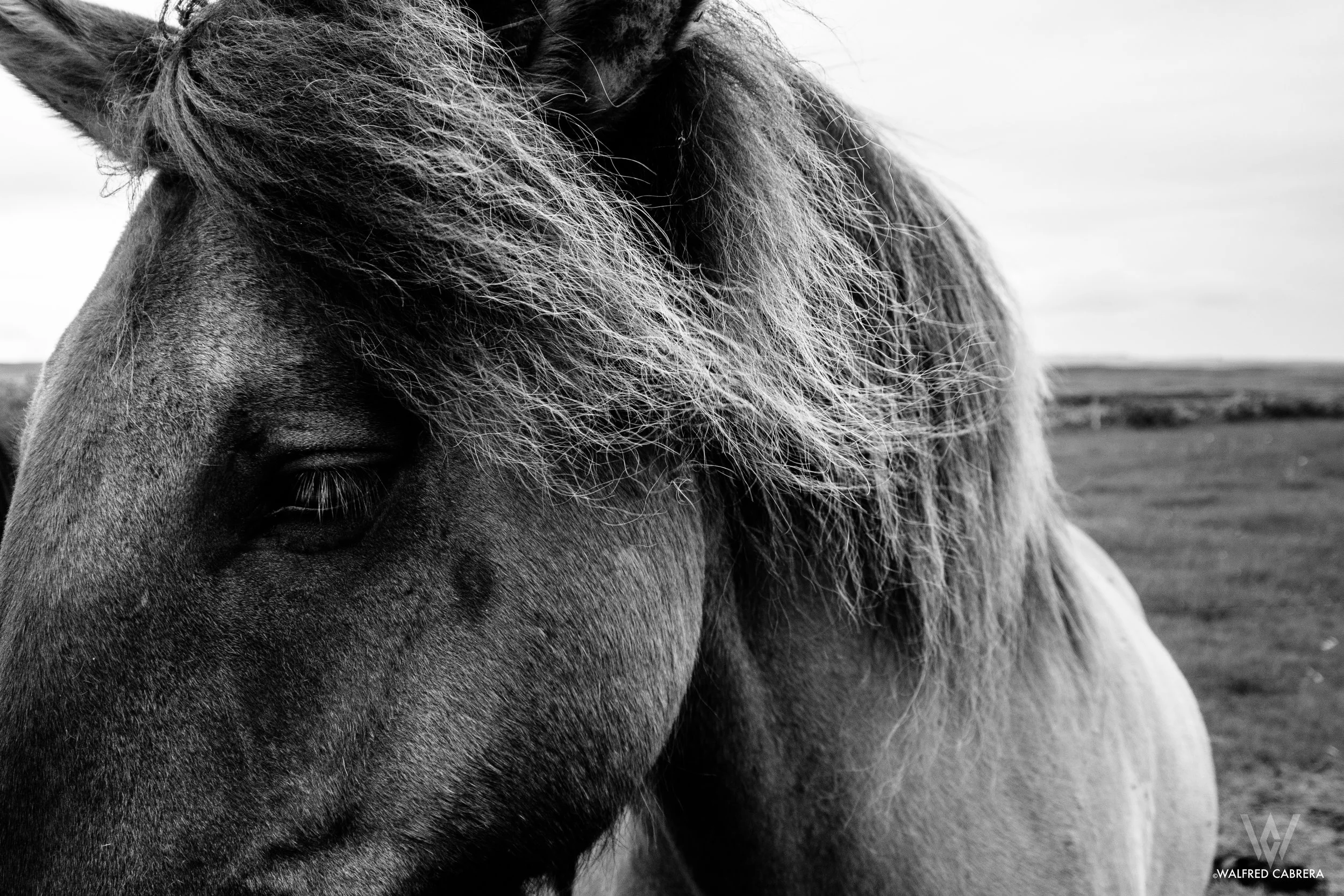 Iceland-29.jpg