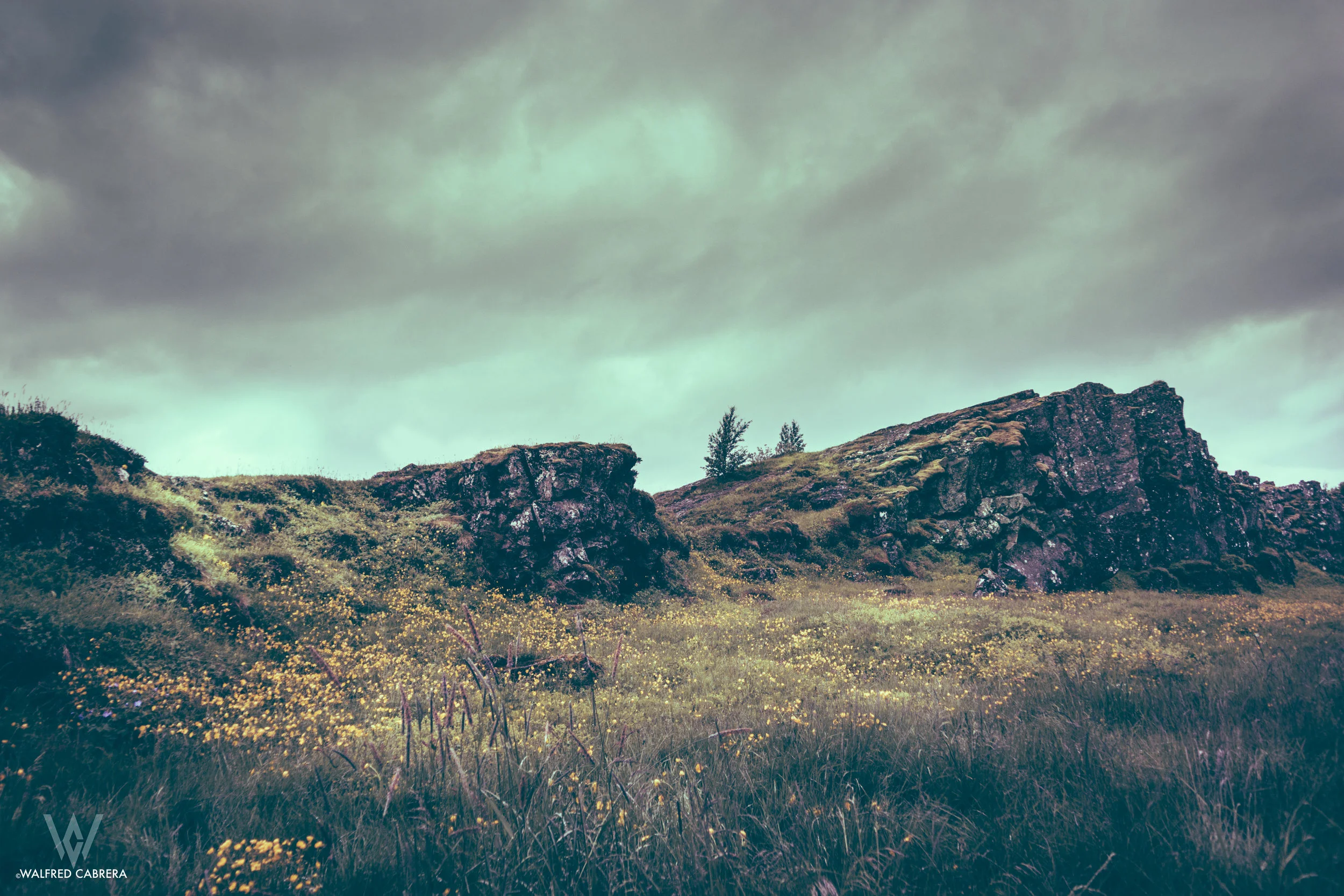 Iceland-36.jpg