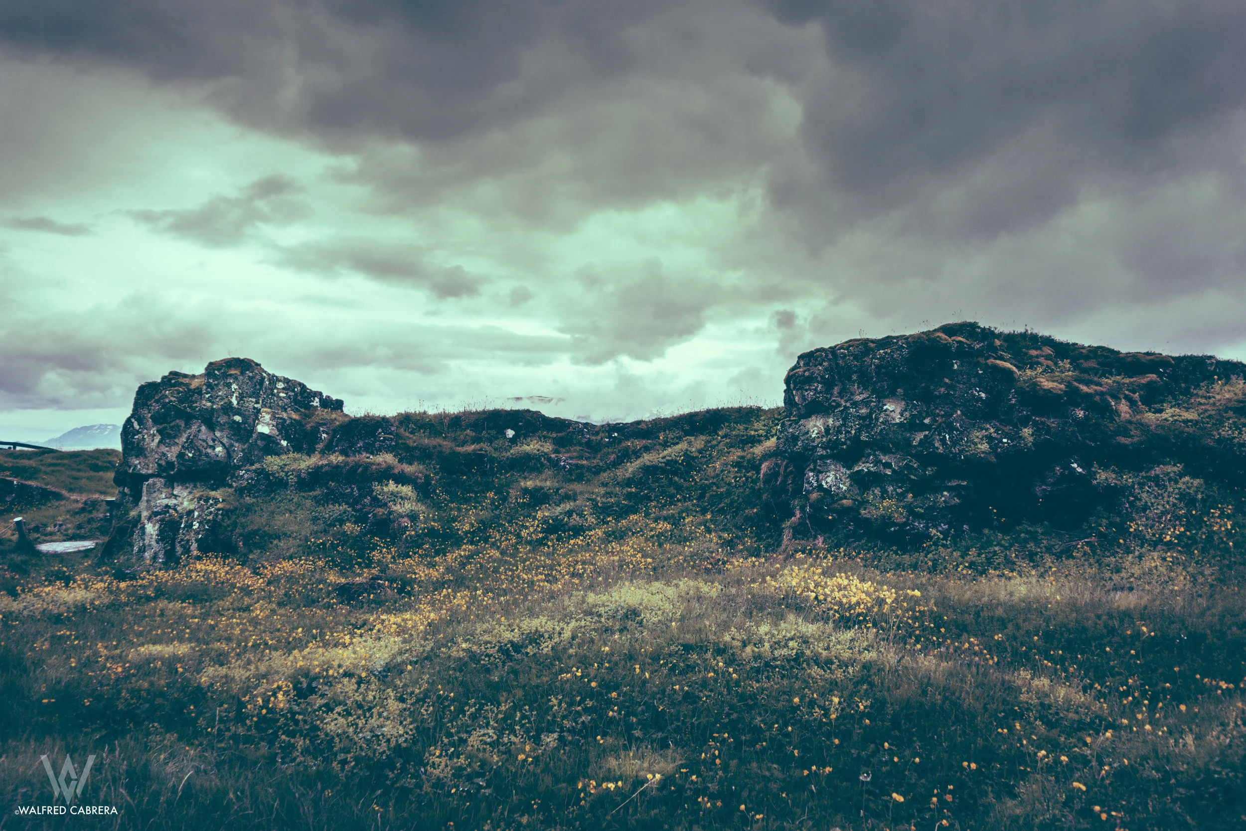 Iceland-37.jpg
