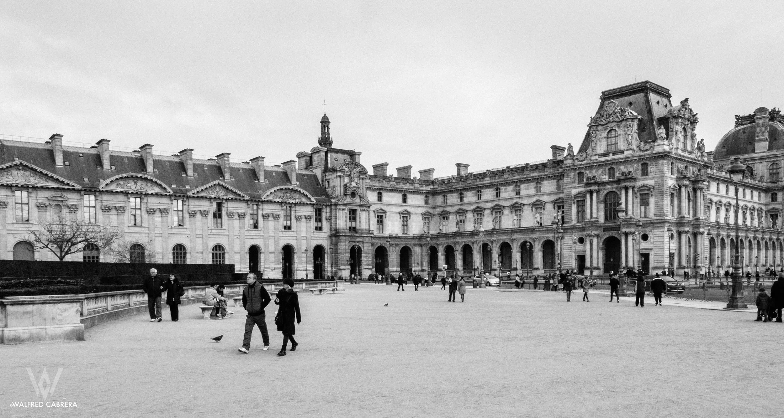 DSC_7183.jpg