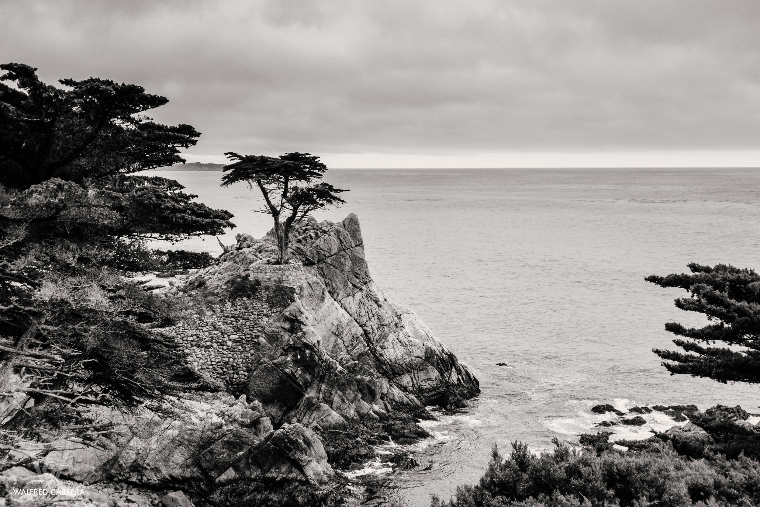 cali 011.jpg