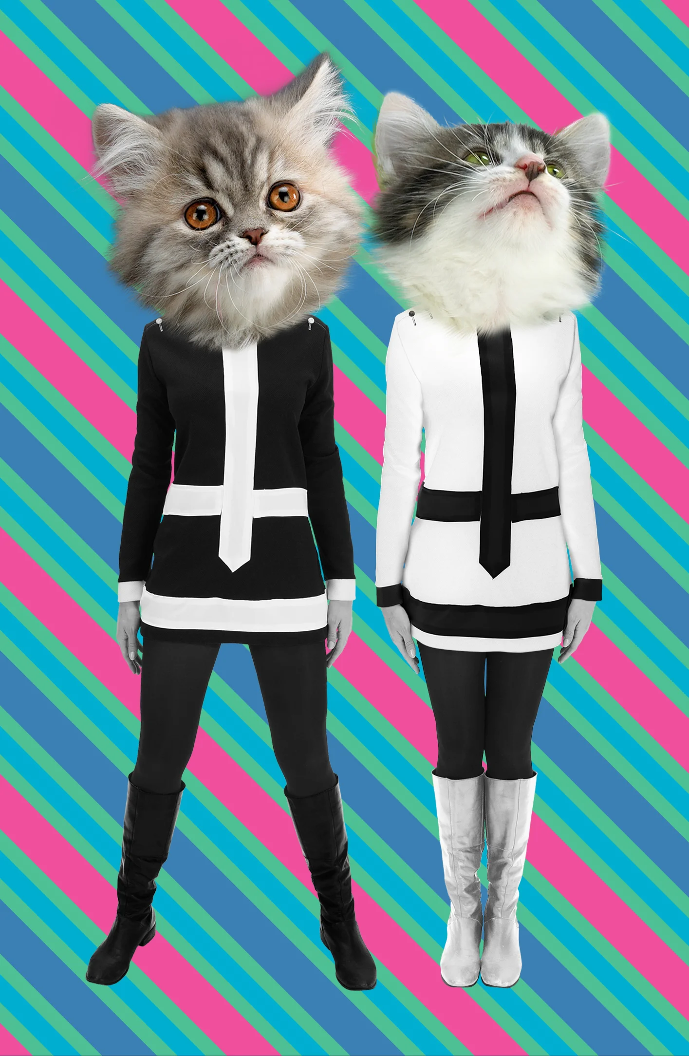 fashion kittens.jpg