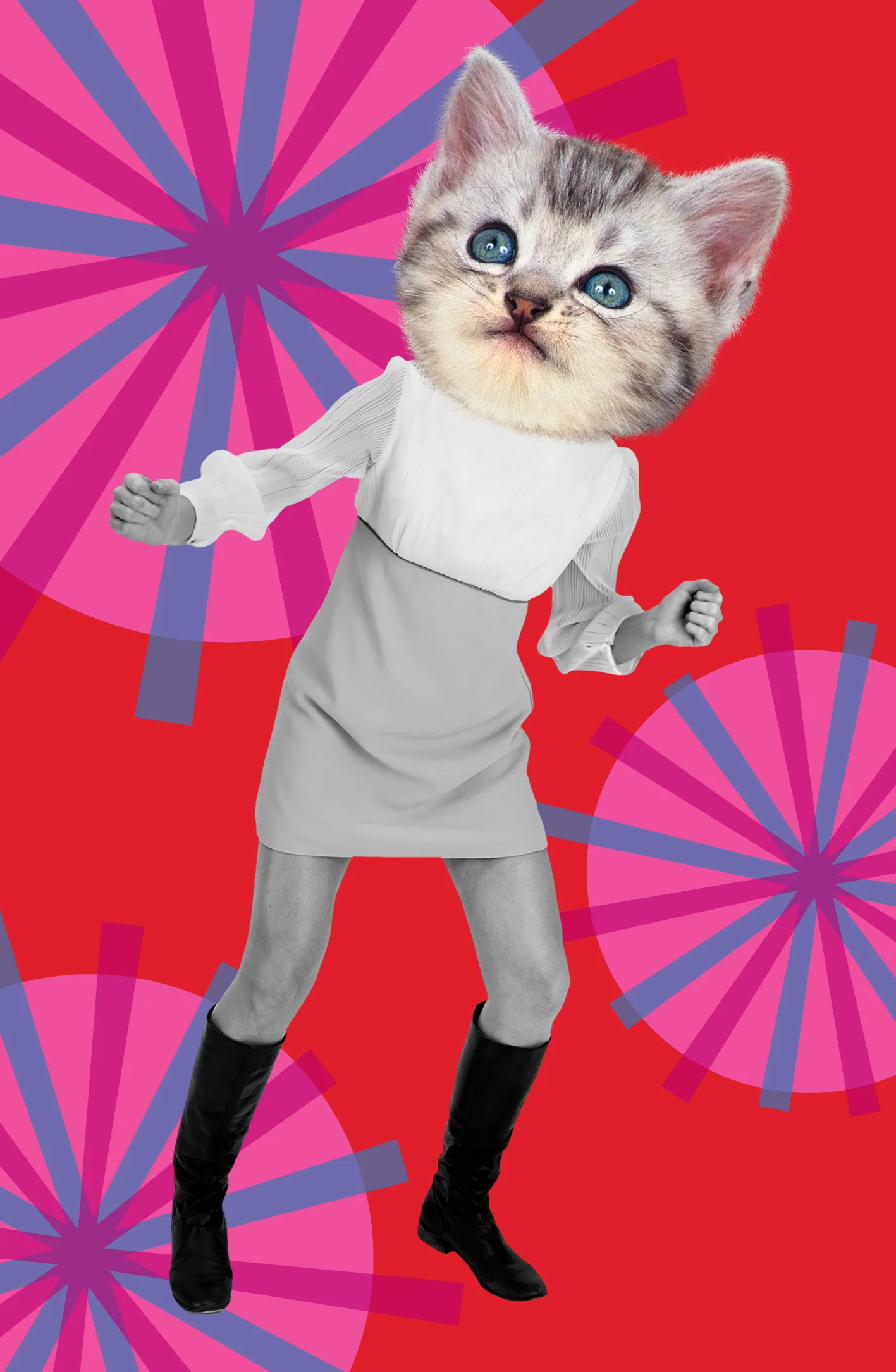 kitten dancer.jpg