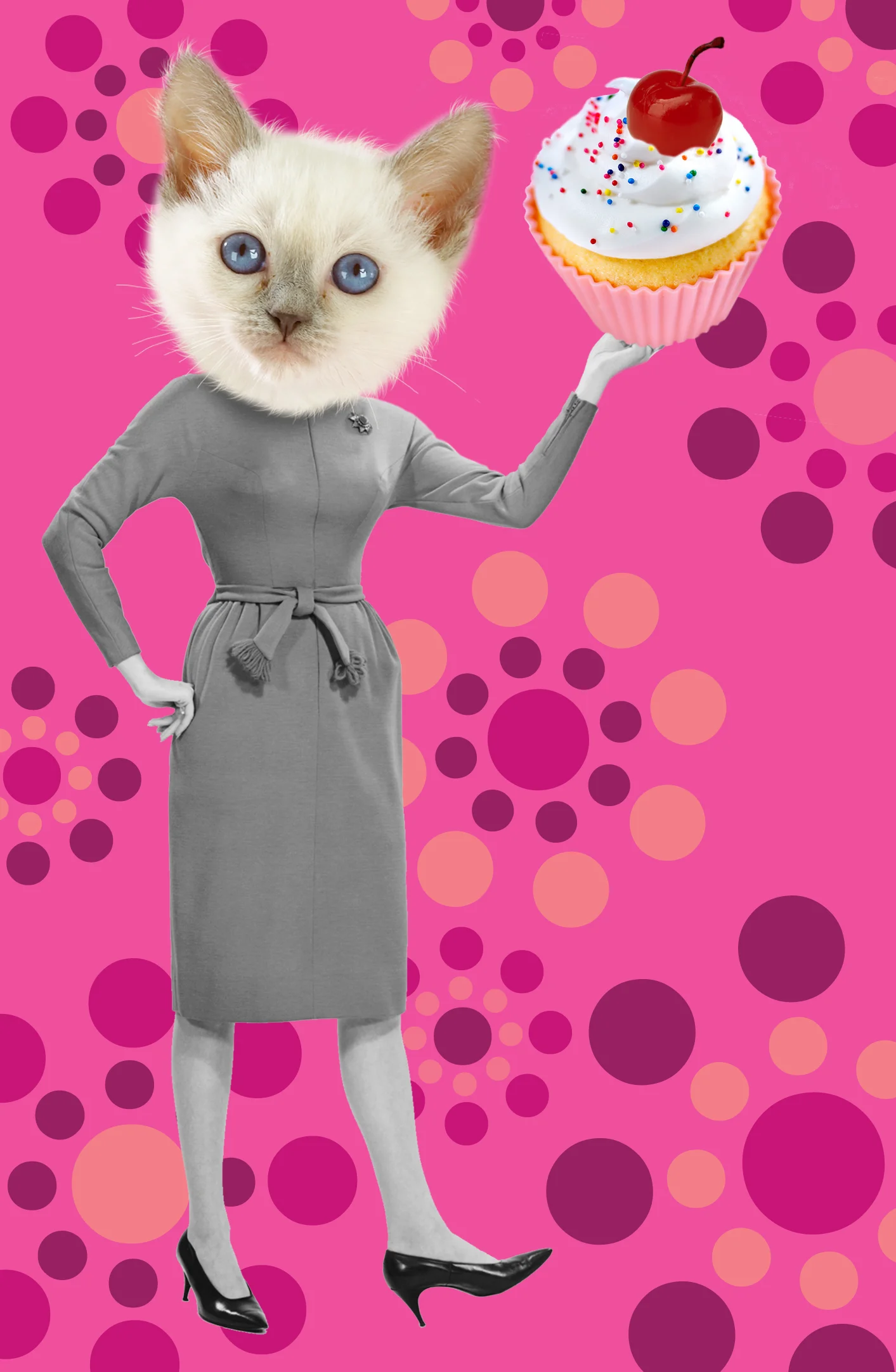 bday kitten.jpg