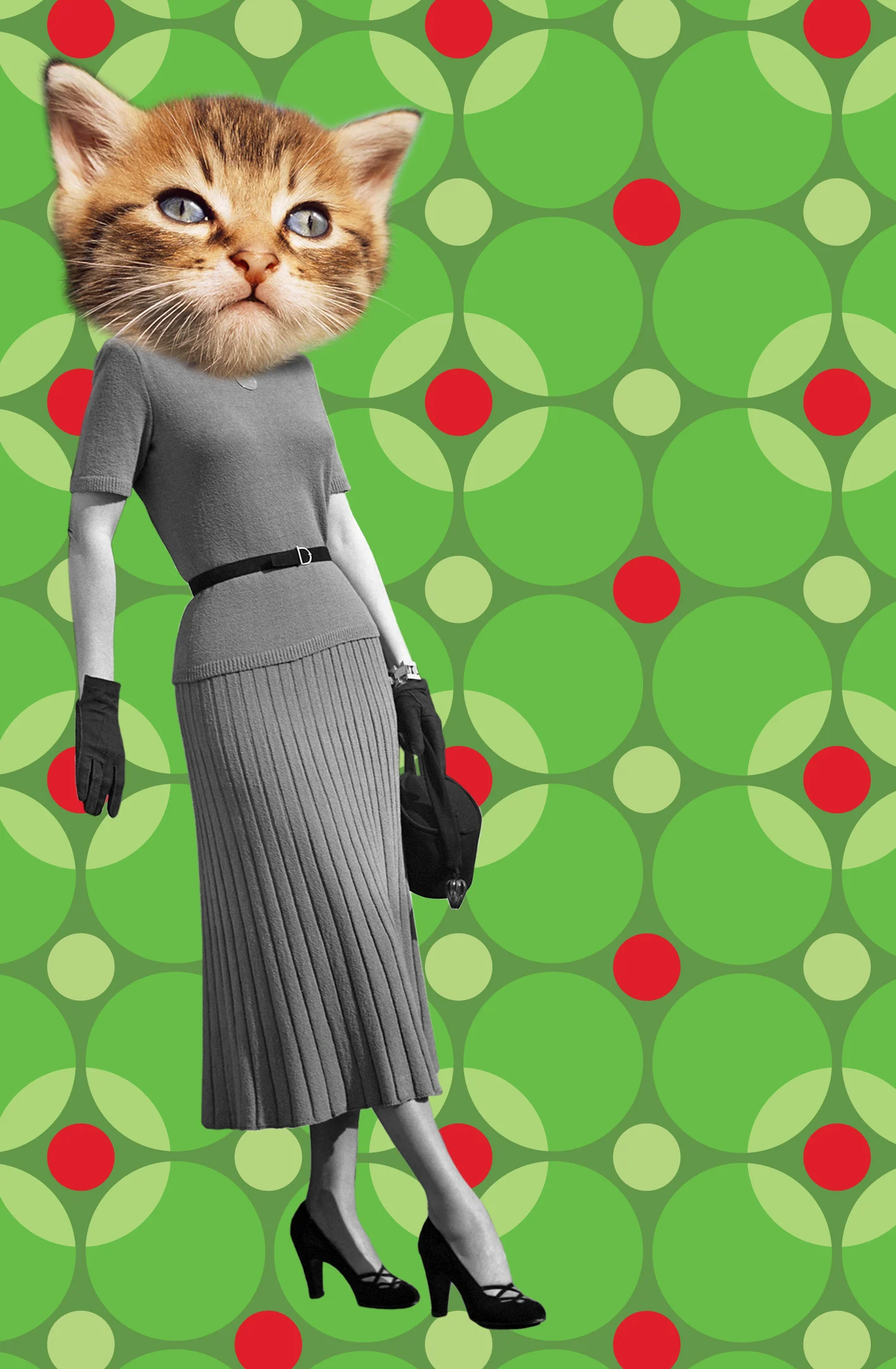 cynical kitty.jpg