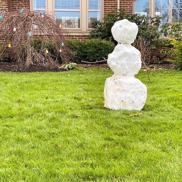 spring, summer and winter all in the same day, April 18 2020 #shovel #mow #bloom #clawart #cathylawart #weather #weirdweather #spring #winter #summerwinter #summer #snowman #art