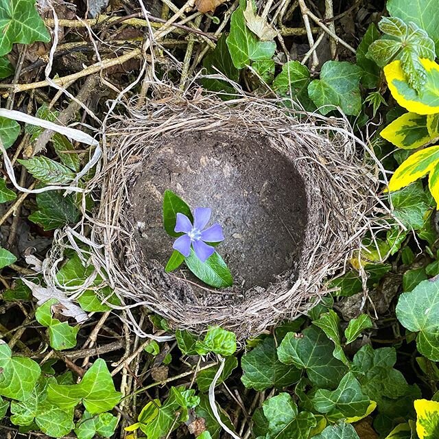 Happy Memorial Day...especially those whose nest may be missing a brave loved one. #memorialday #happyMemorialday #clawart #cathylawart #emptynest #brave  #memorialdayweekend #memorial2020