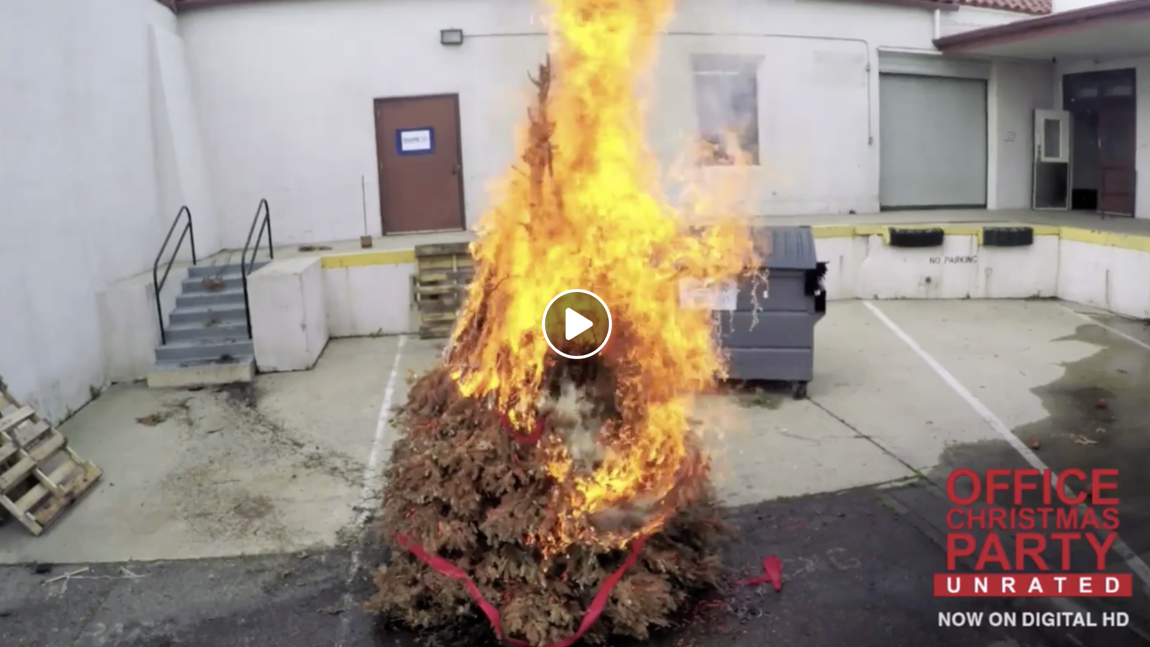 "Office Christmas Party" Facebook Live Christmas Tree Burning