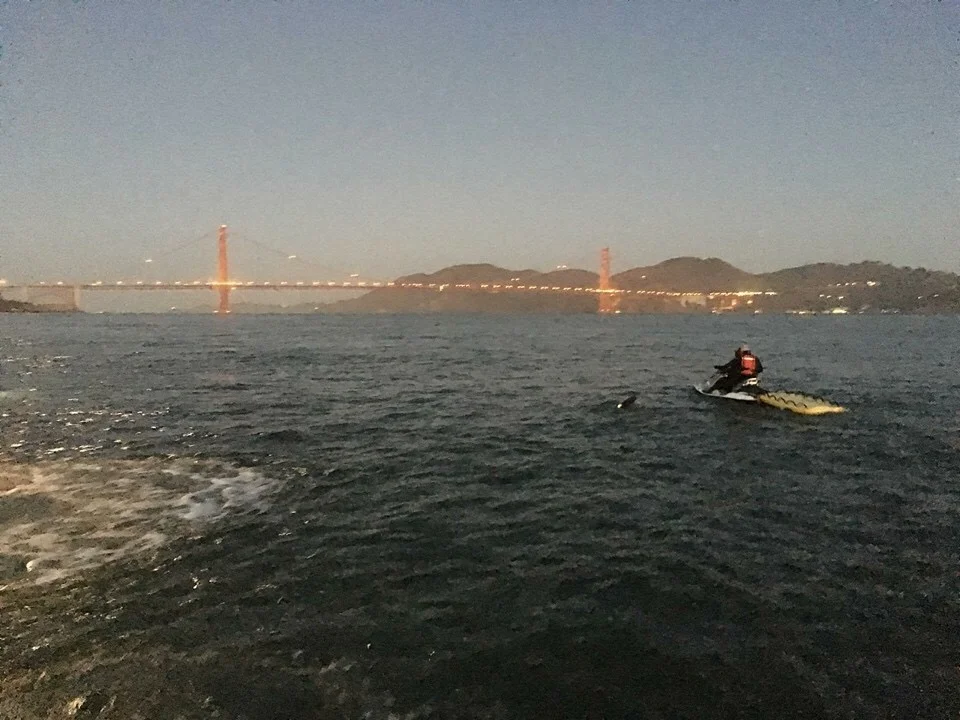 Event SF Swim (1).JPG