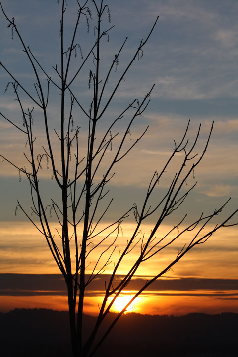 IMG_7018-small.jpg