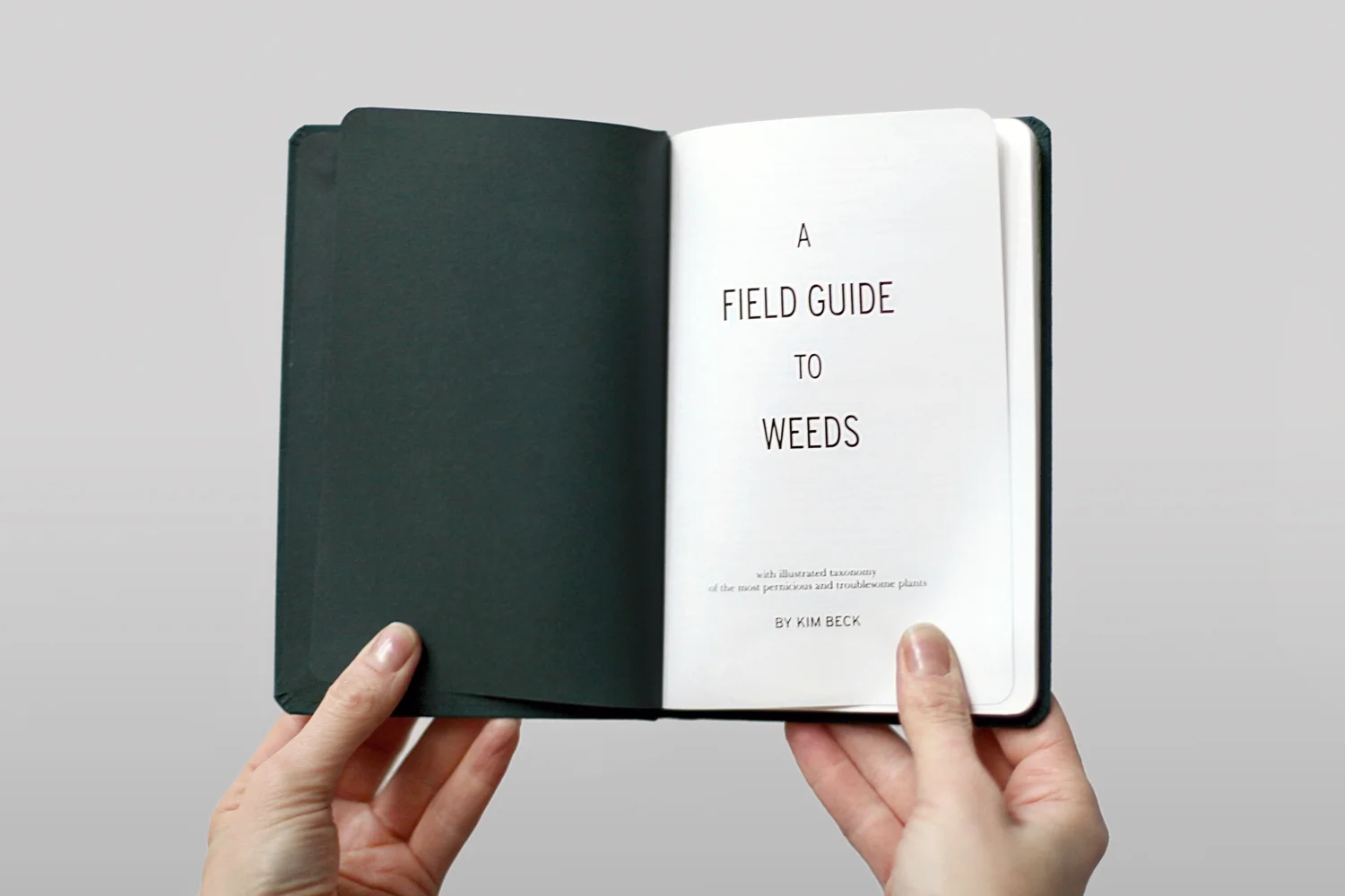 kim-beck-field-02.jpg