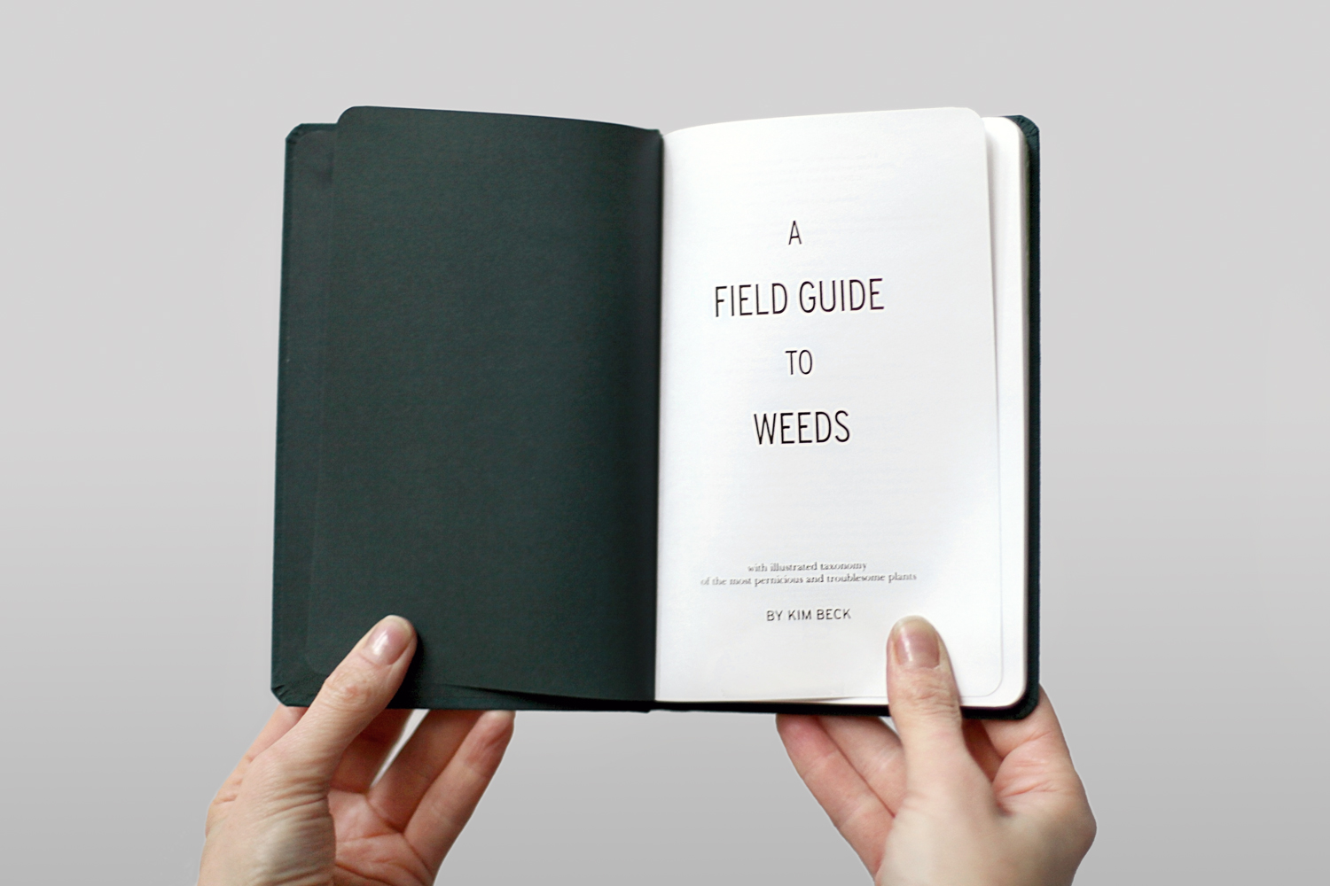 kim-beck-field-02.jpg