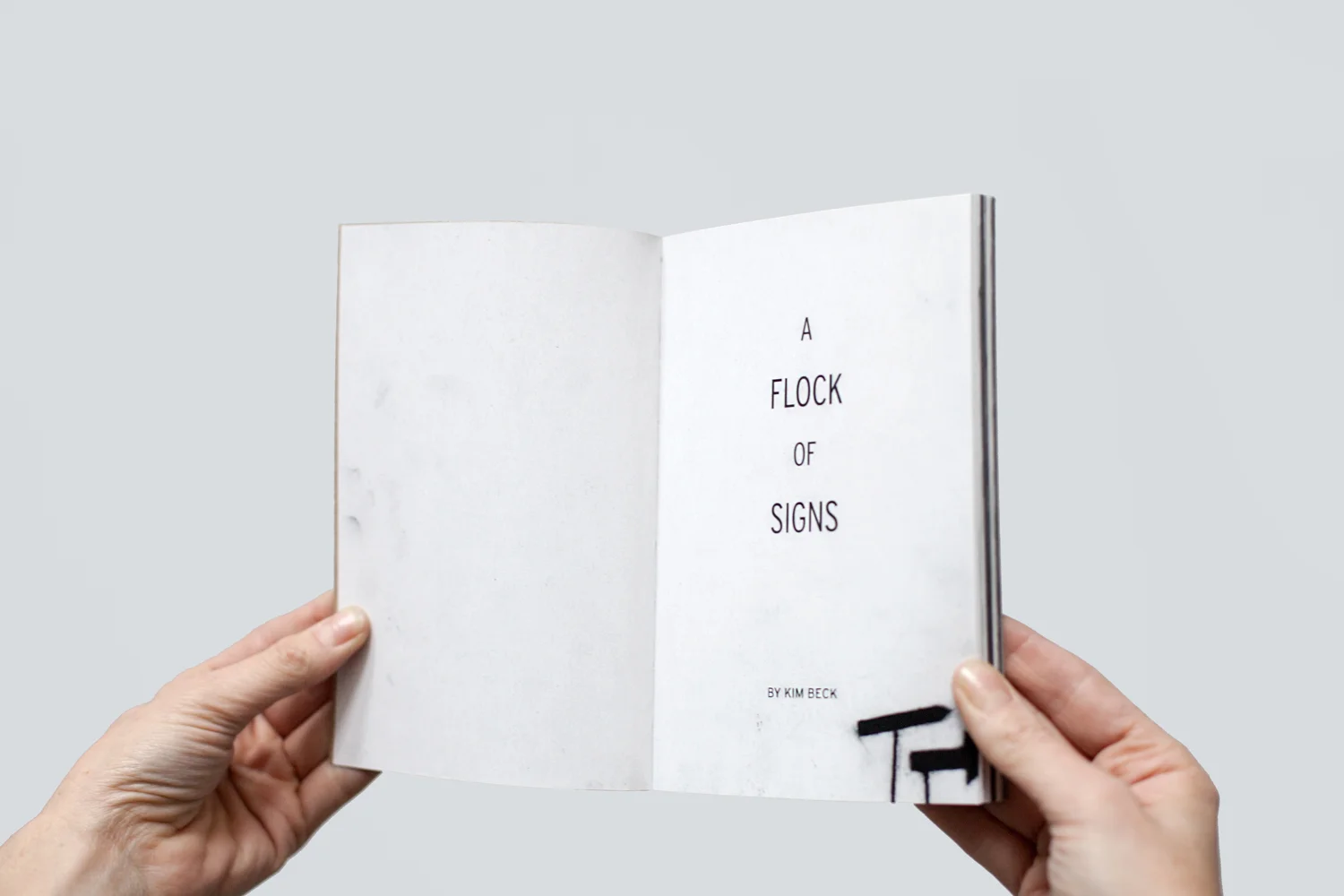 kim-beck-flock-02.jpg