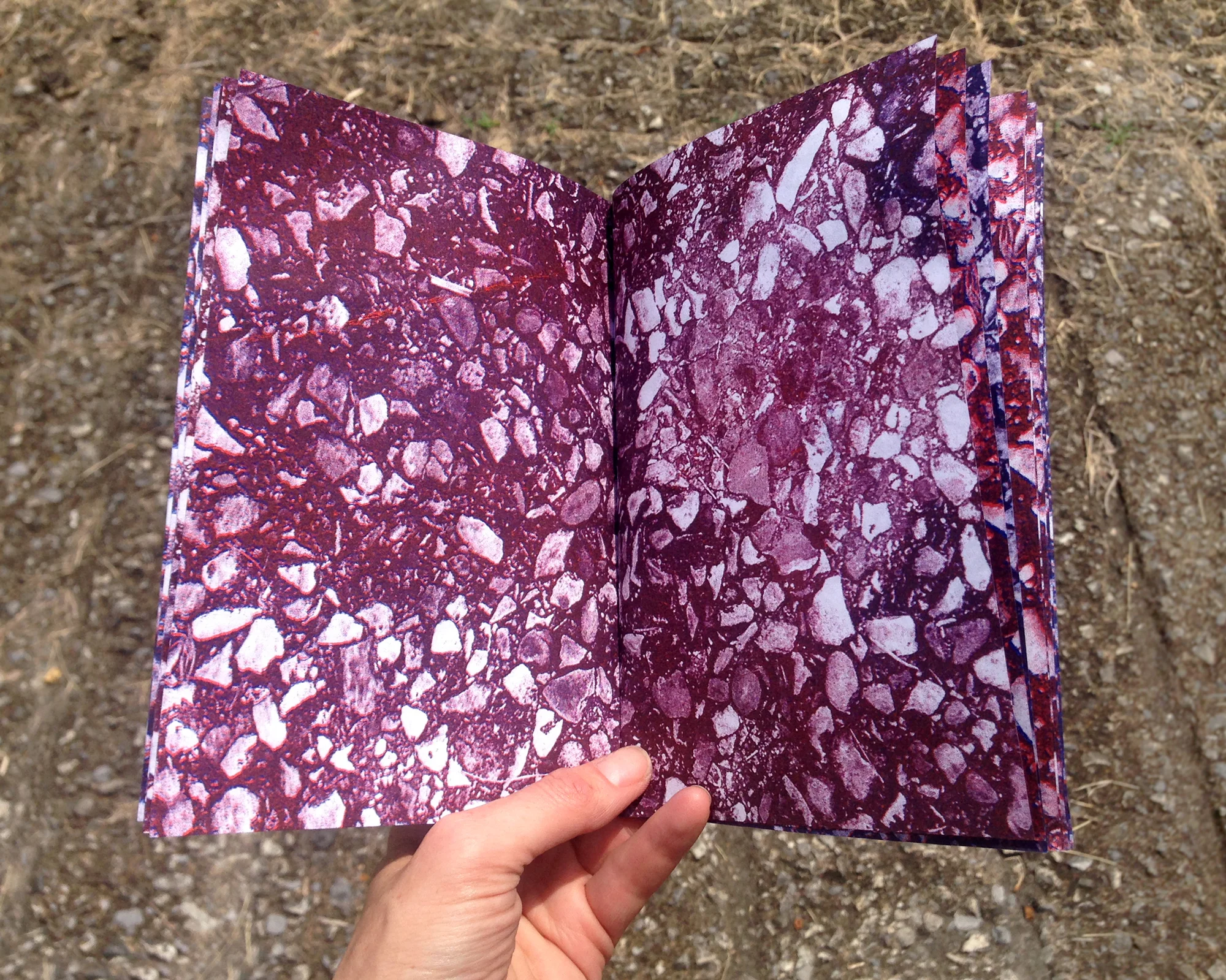 pothole_book_2.jpg