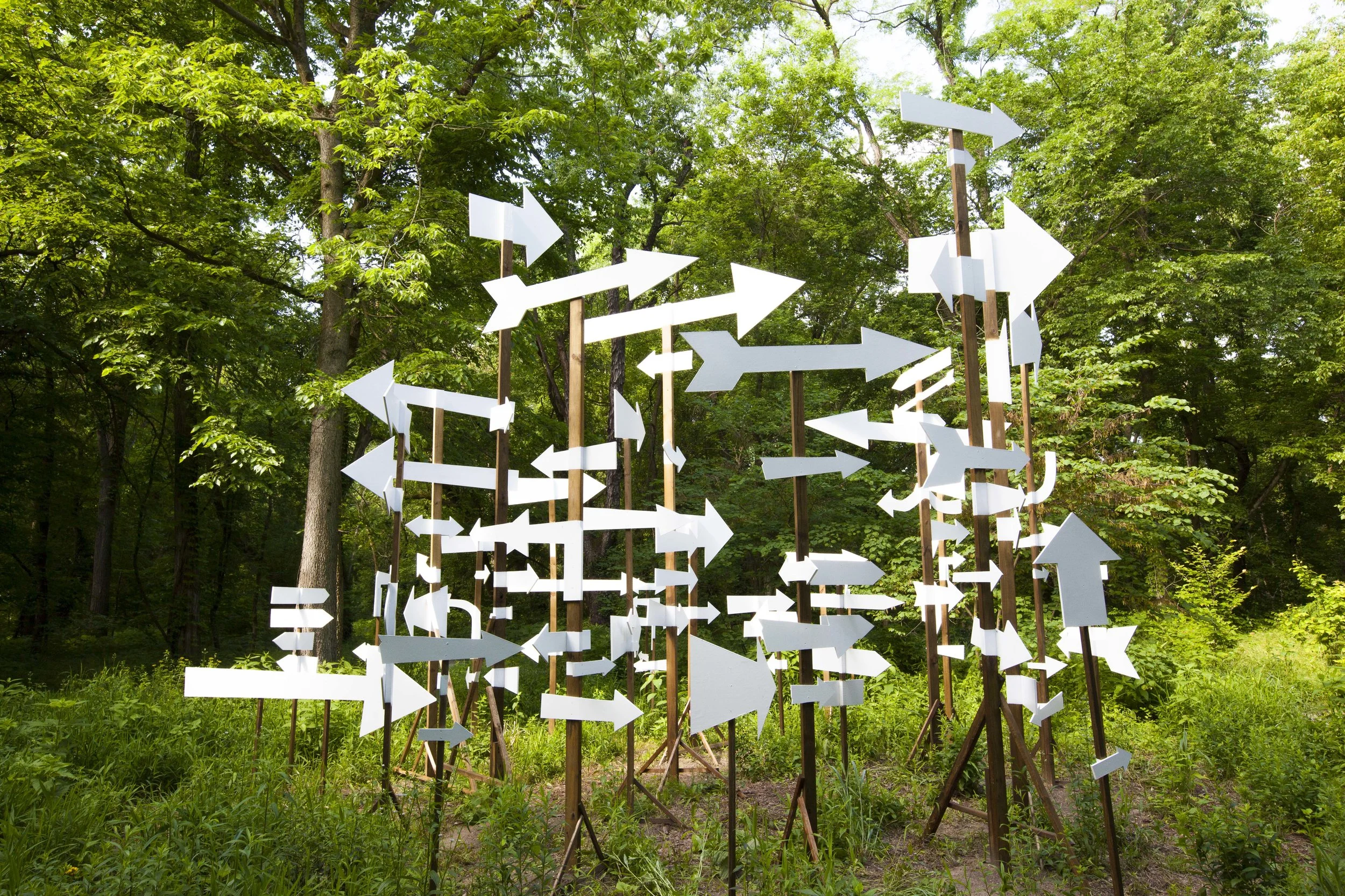 10 Beck Notice A Flock of Signs.jpg