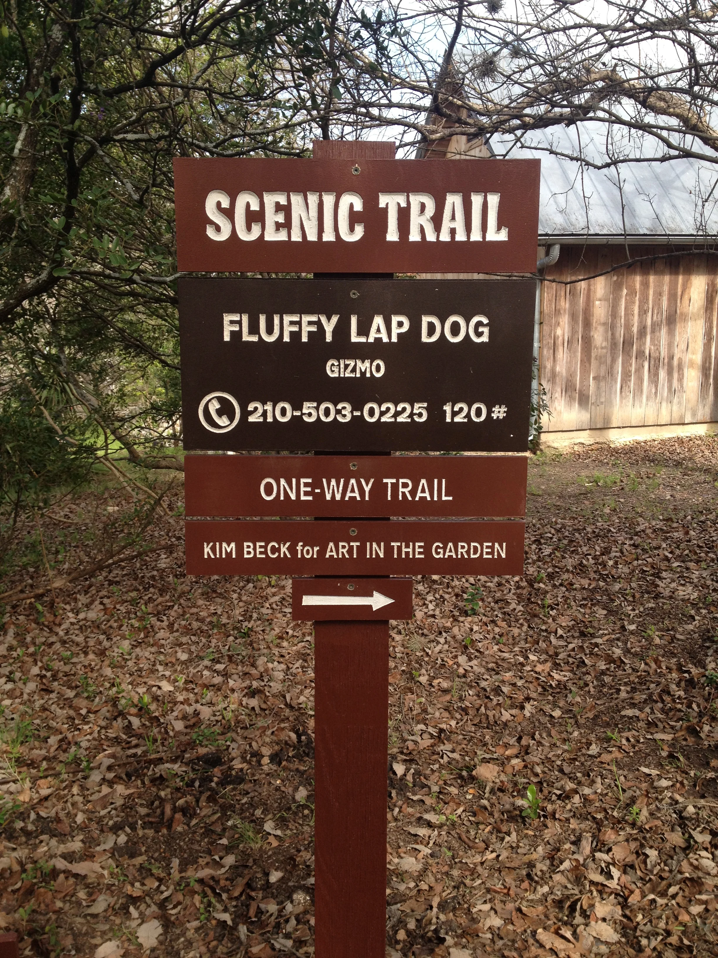 2015-03-13 10.56.30.jpg