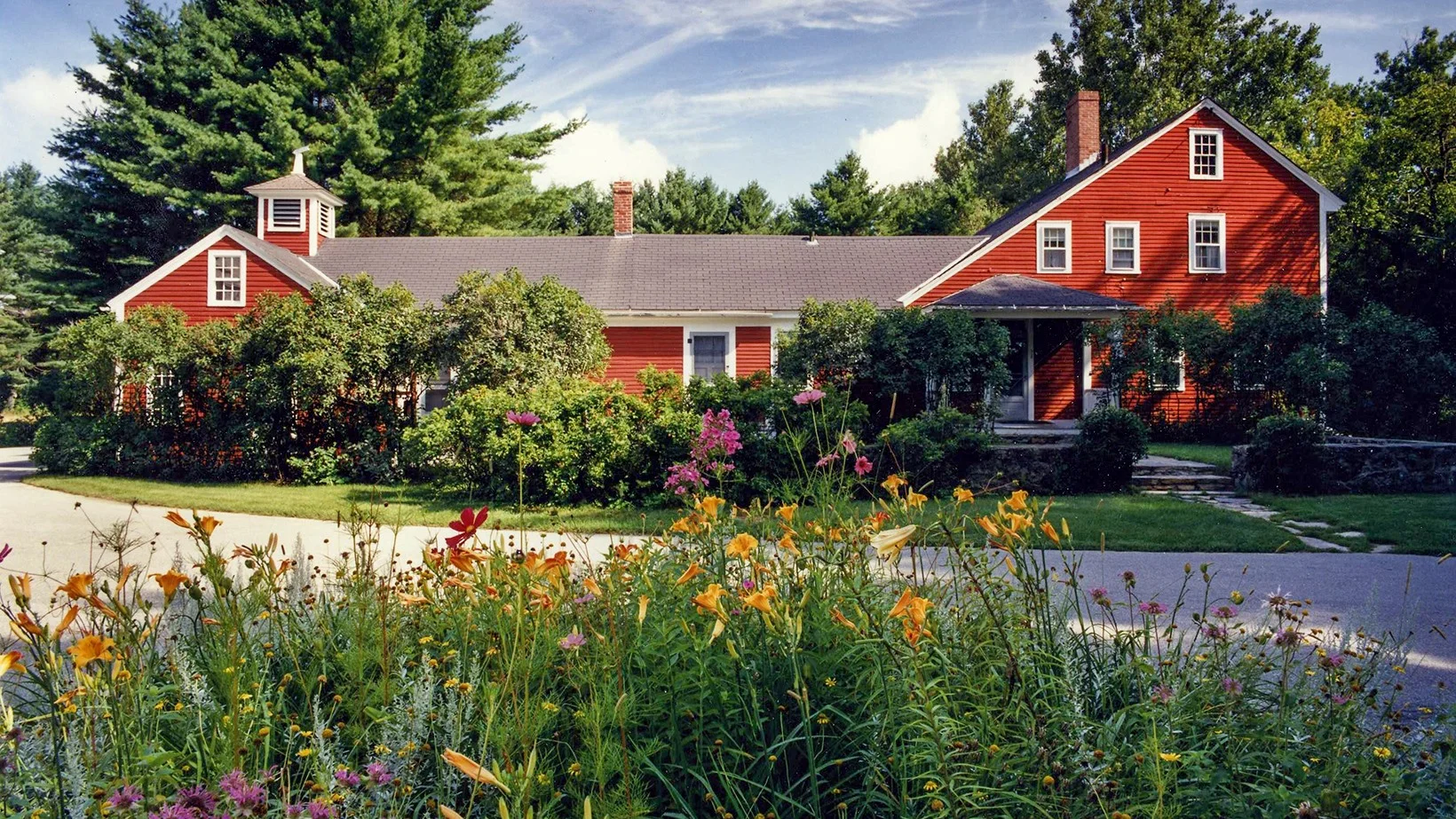 macdowell.jpg