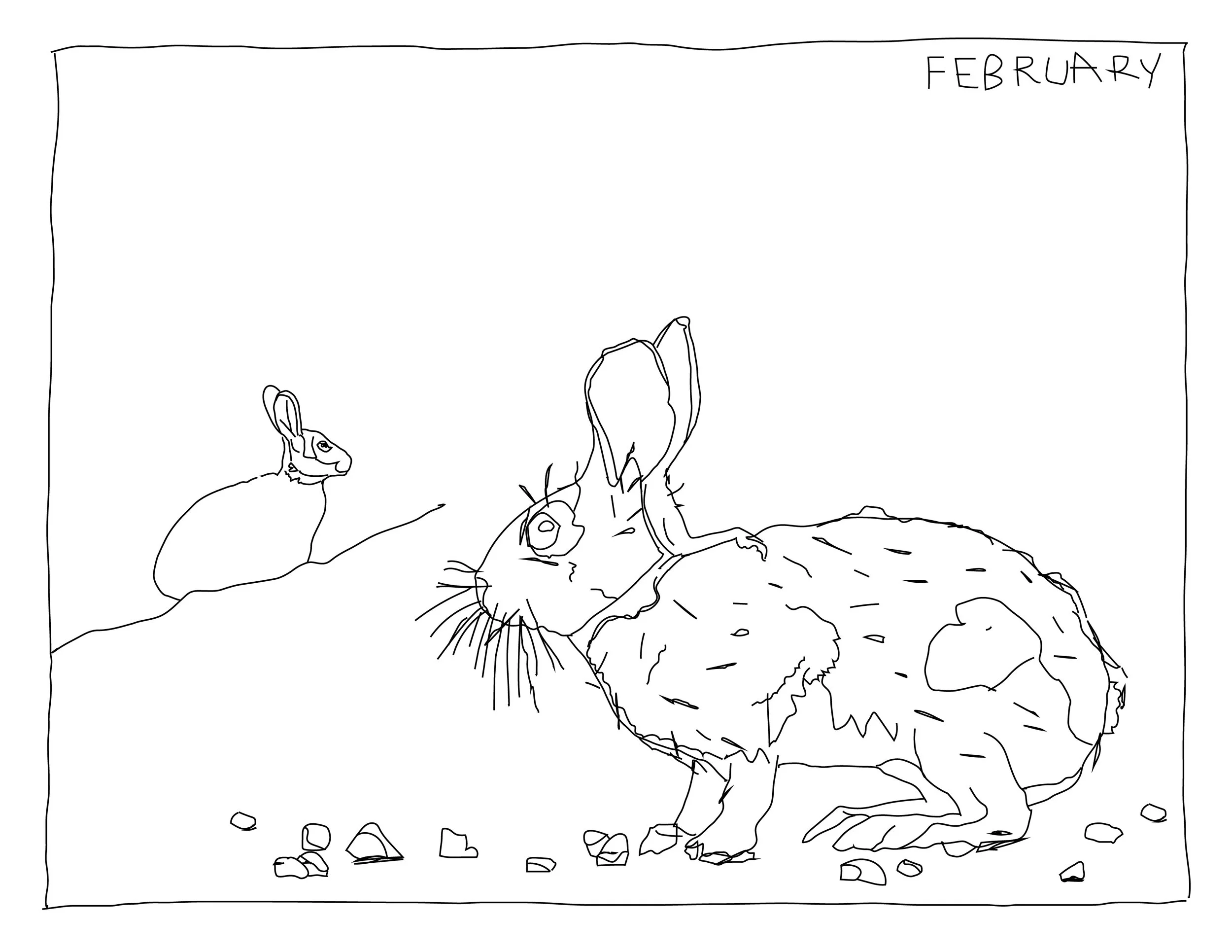 003_rabbit calendar (2)_Febrary.jpg