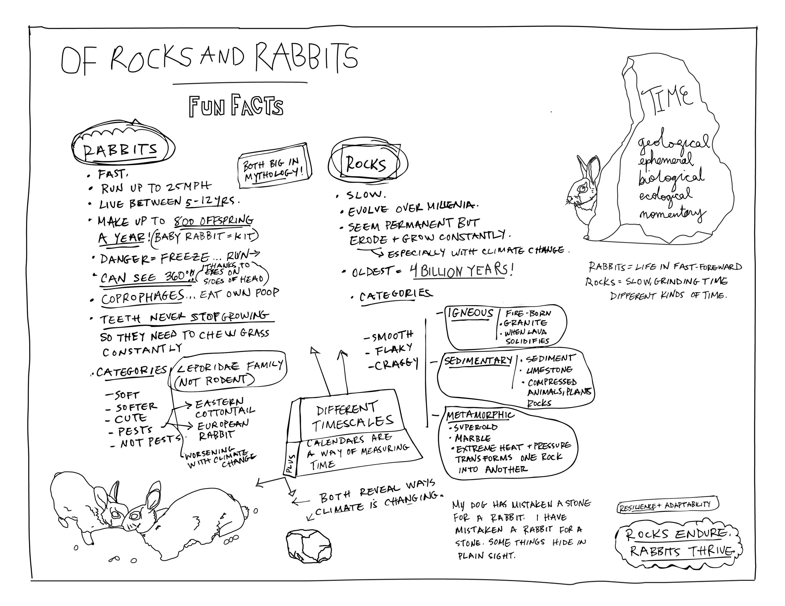 014_rabbit calendar (2)_Rocks and Rabbits.jpg